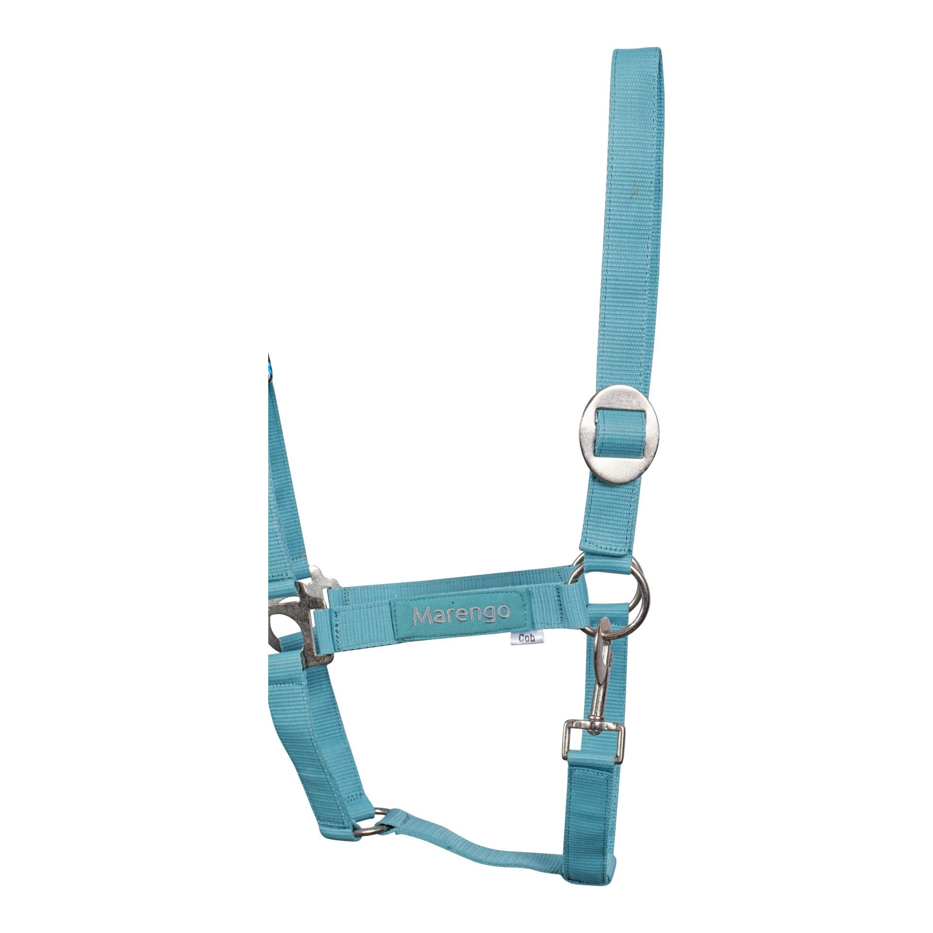 Nylonhalfter Basic Nylonhalfter Basic