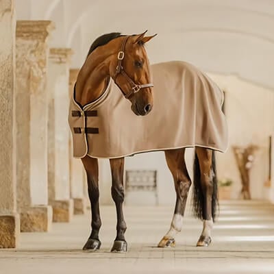 RS-KAT-Abschwitzdecke RS-KAT-Abschwitzdecke