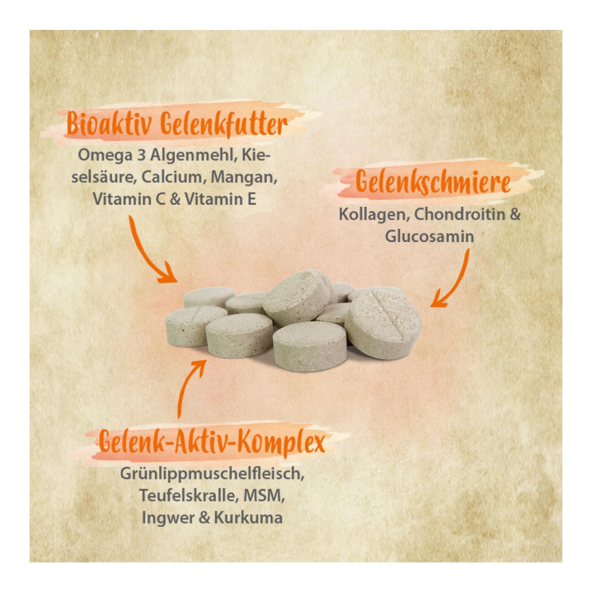 IdaPlus Artisan Forte - Gelenktabletten für Hunde 