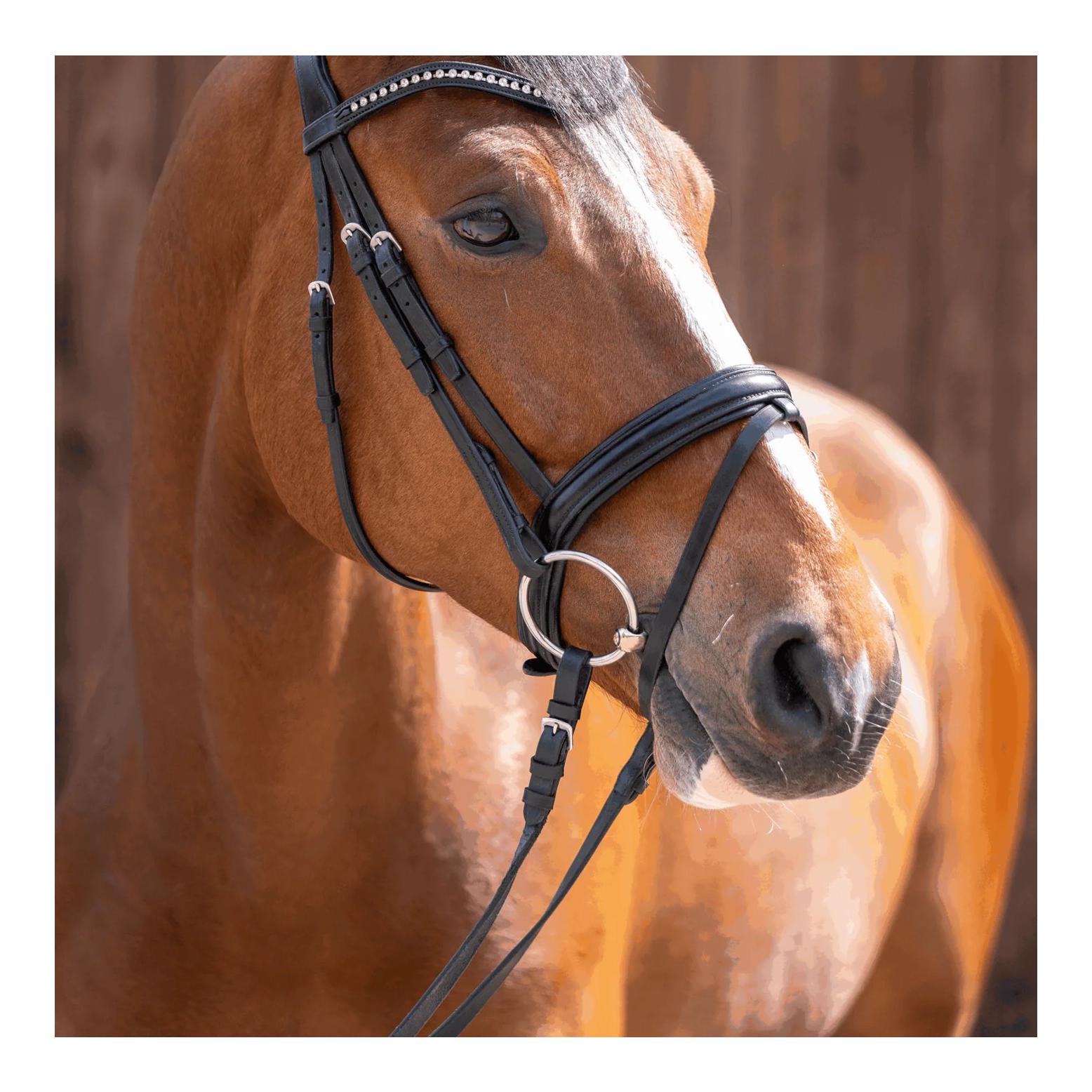 Sprenger Trense SENSOGAN® KK Ultra 18mm - Edelstahl rostfrei