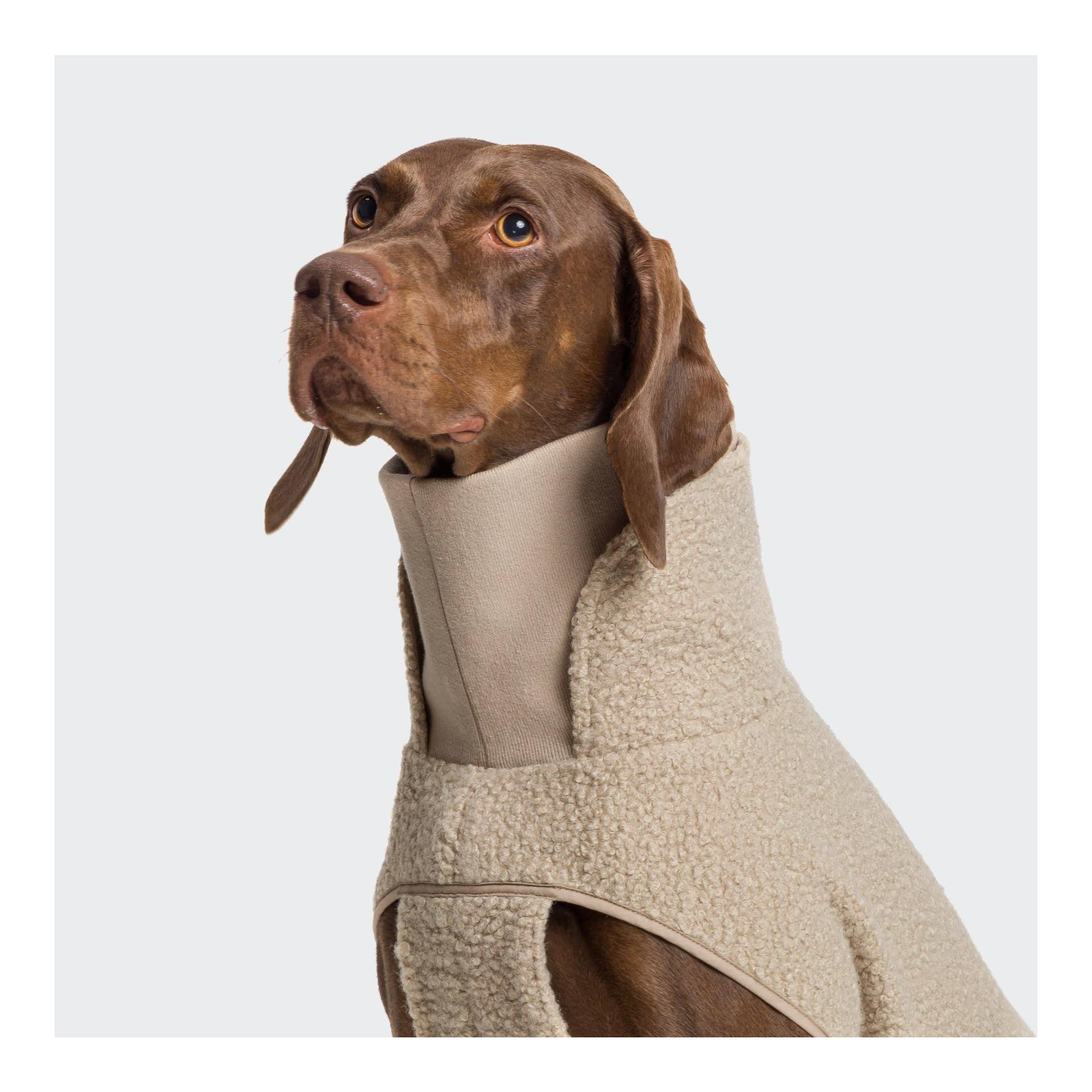 Cloud 7 Pullover pour chien Gotland avec col