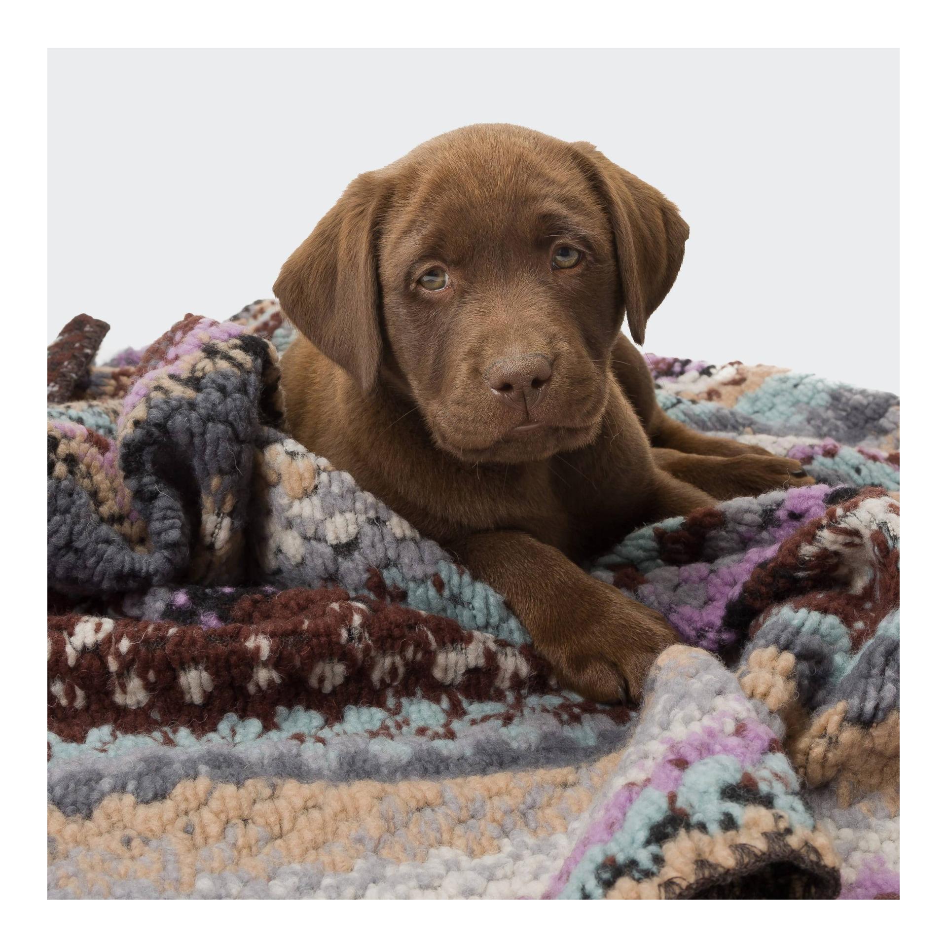 Hundedecke Woodstock Hundedecke Woodstock