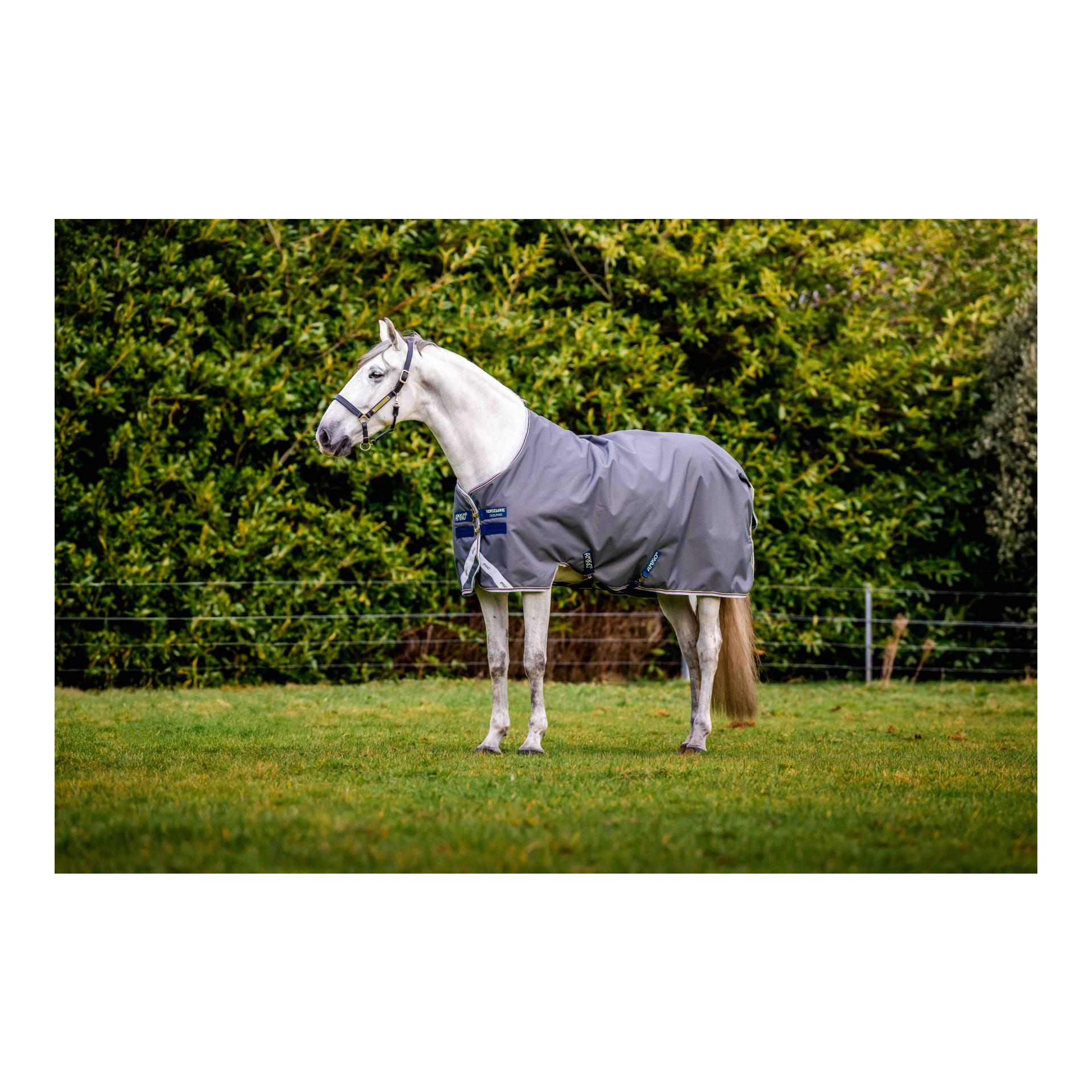 Regendecke Amigo Bravo-12 T/O 100g Regendecke Amigo Bravo-12 T/O 100g