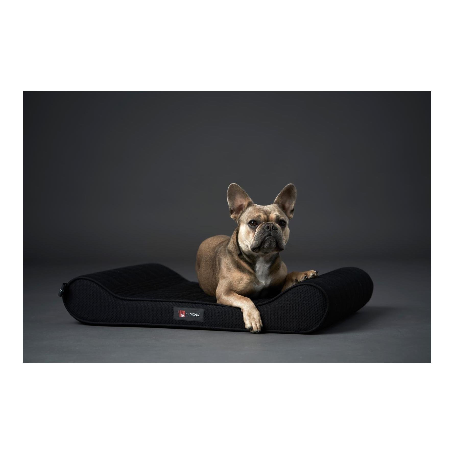 Catago Hundekissen FIR-TECH