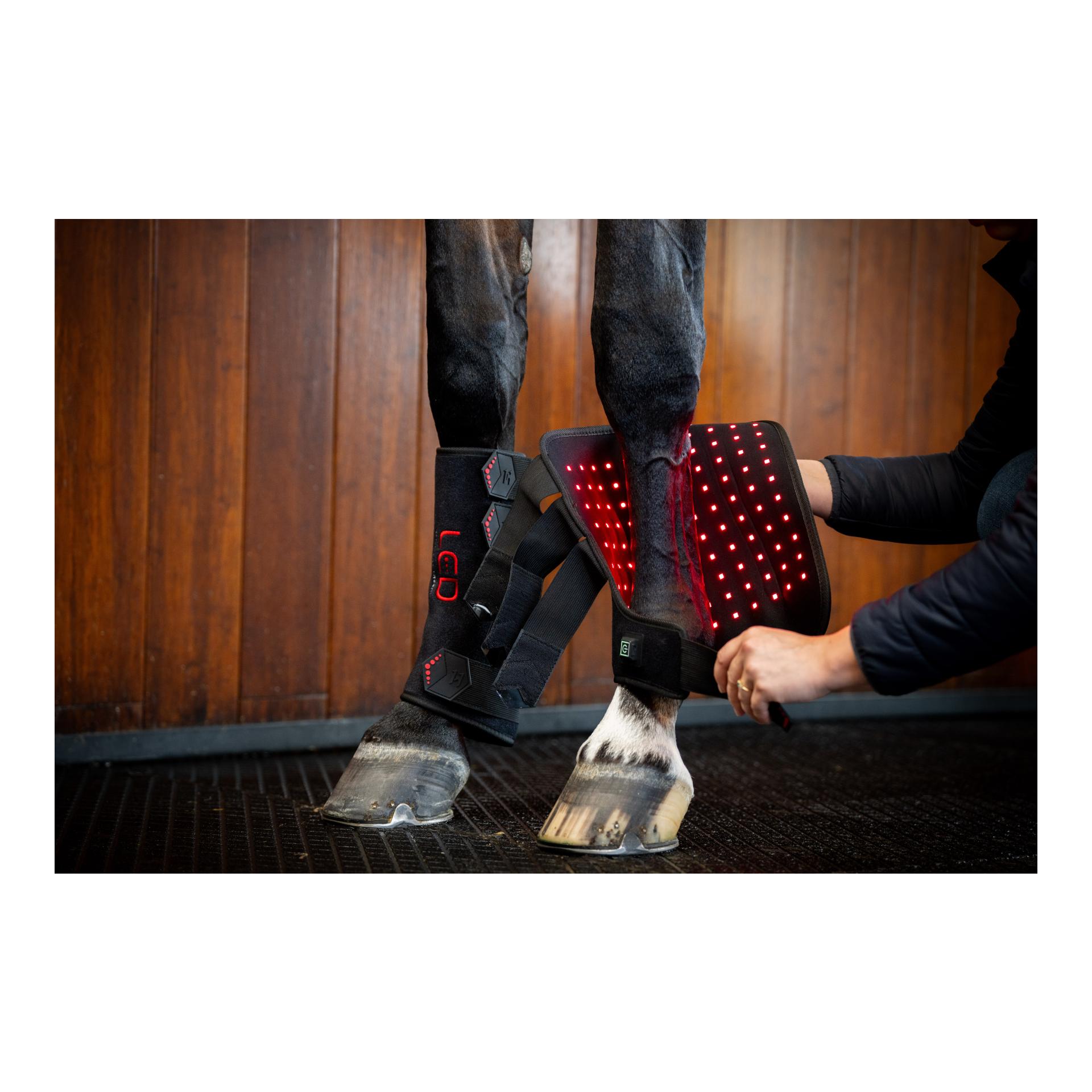 Horseware LED Red Light Therapy Leg Wraps Pair