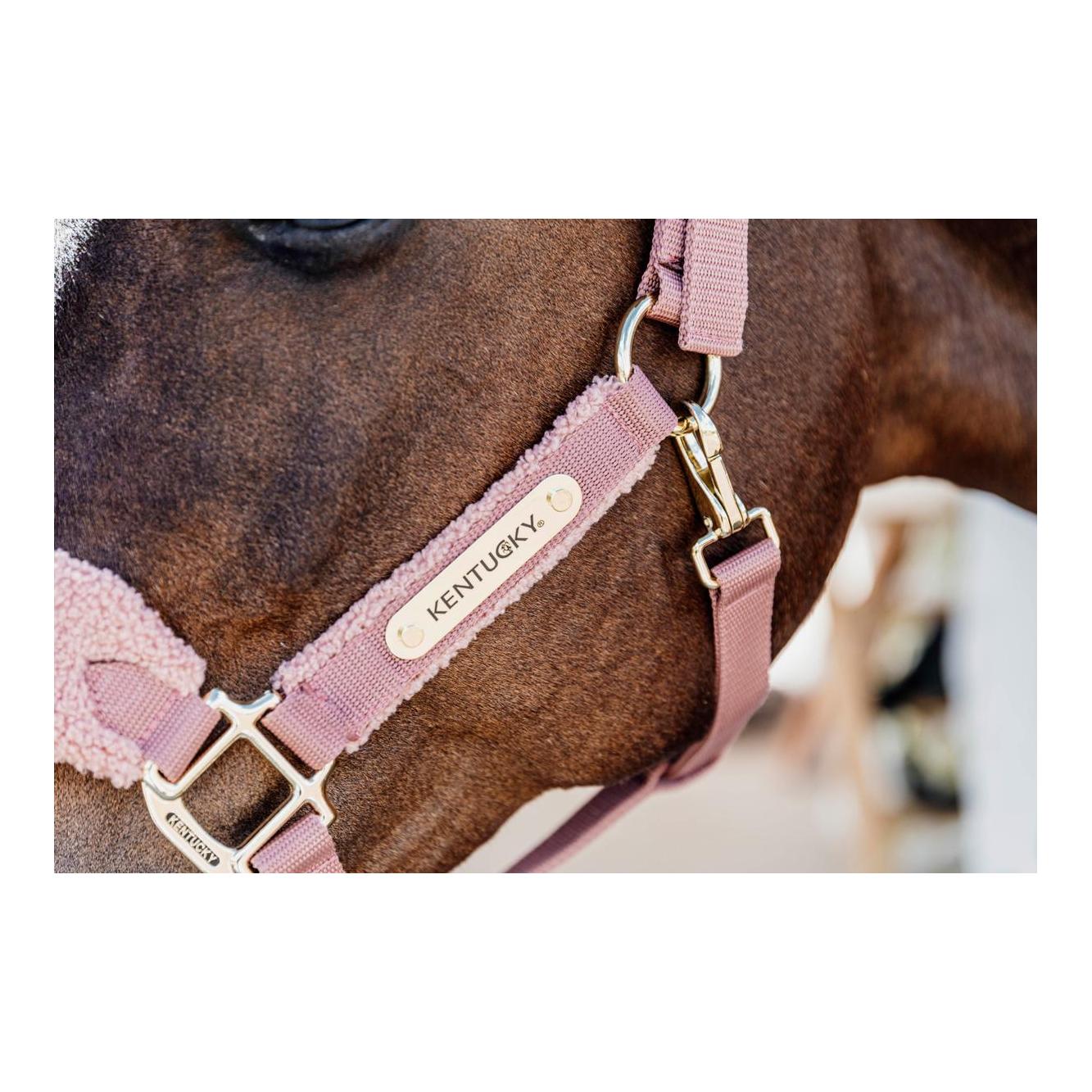 Halfter Teddy fleece