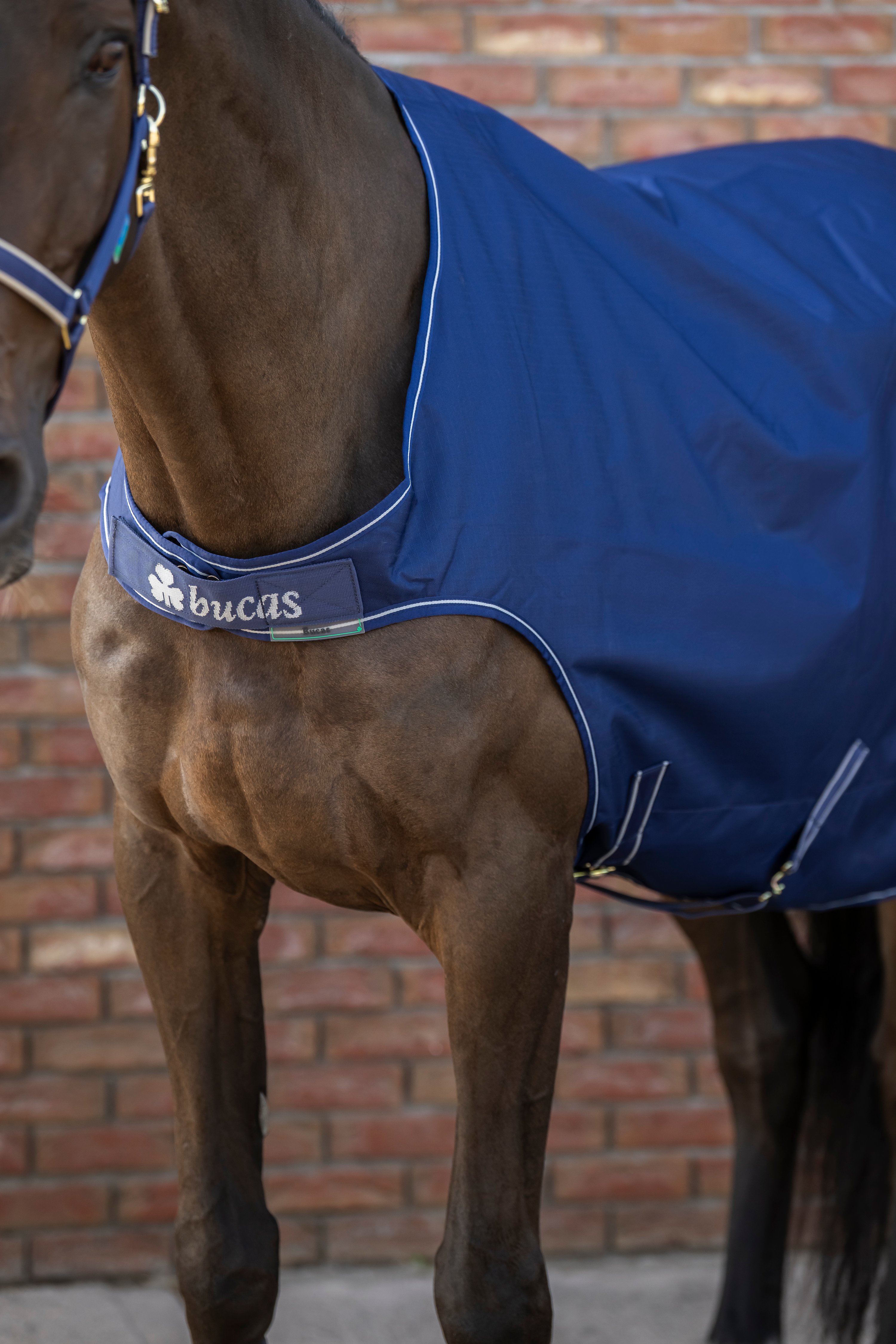Bucas Chemise de marcheur cheval Irish Walker doublure silk feel – navy
