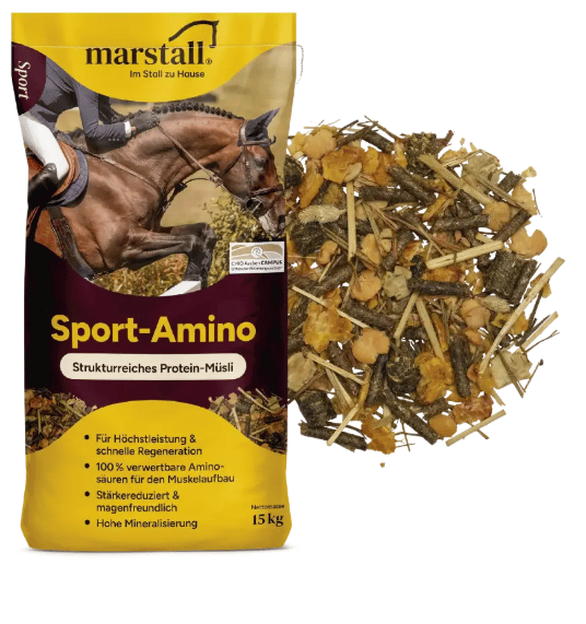Sport Amino