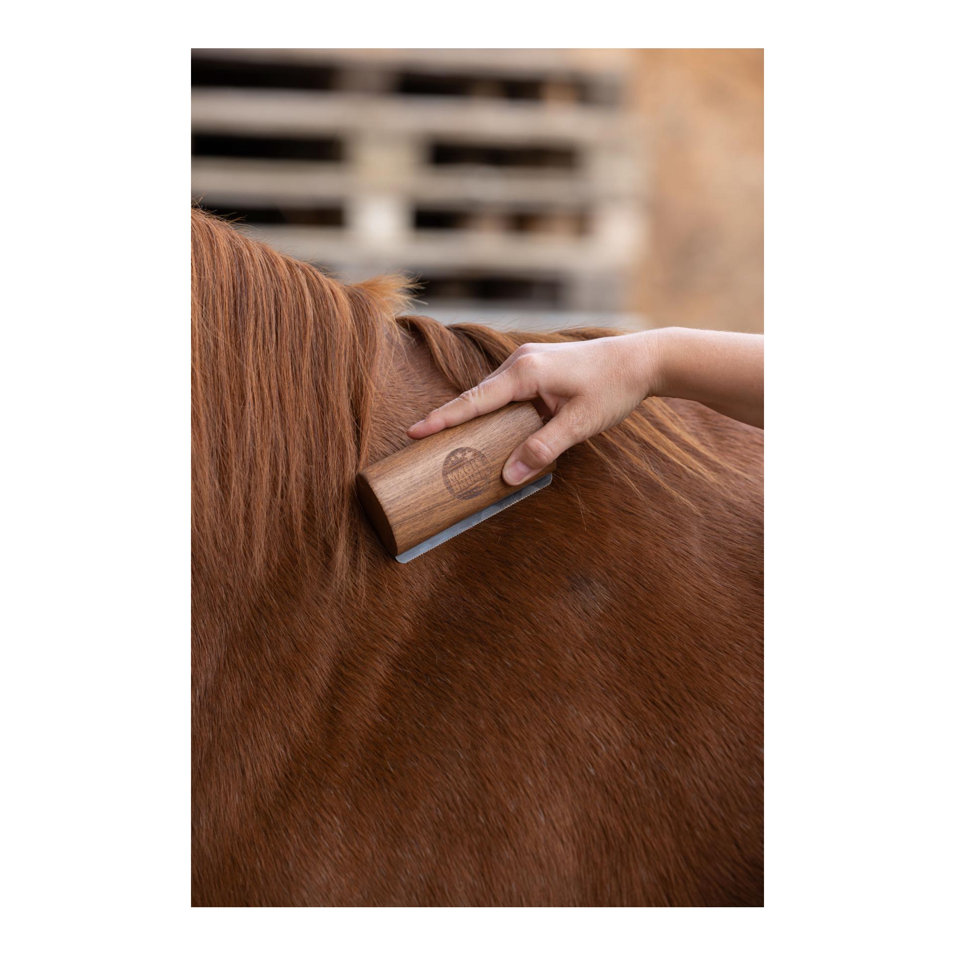 MagicBrush Magic Brush Fellboy