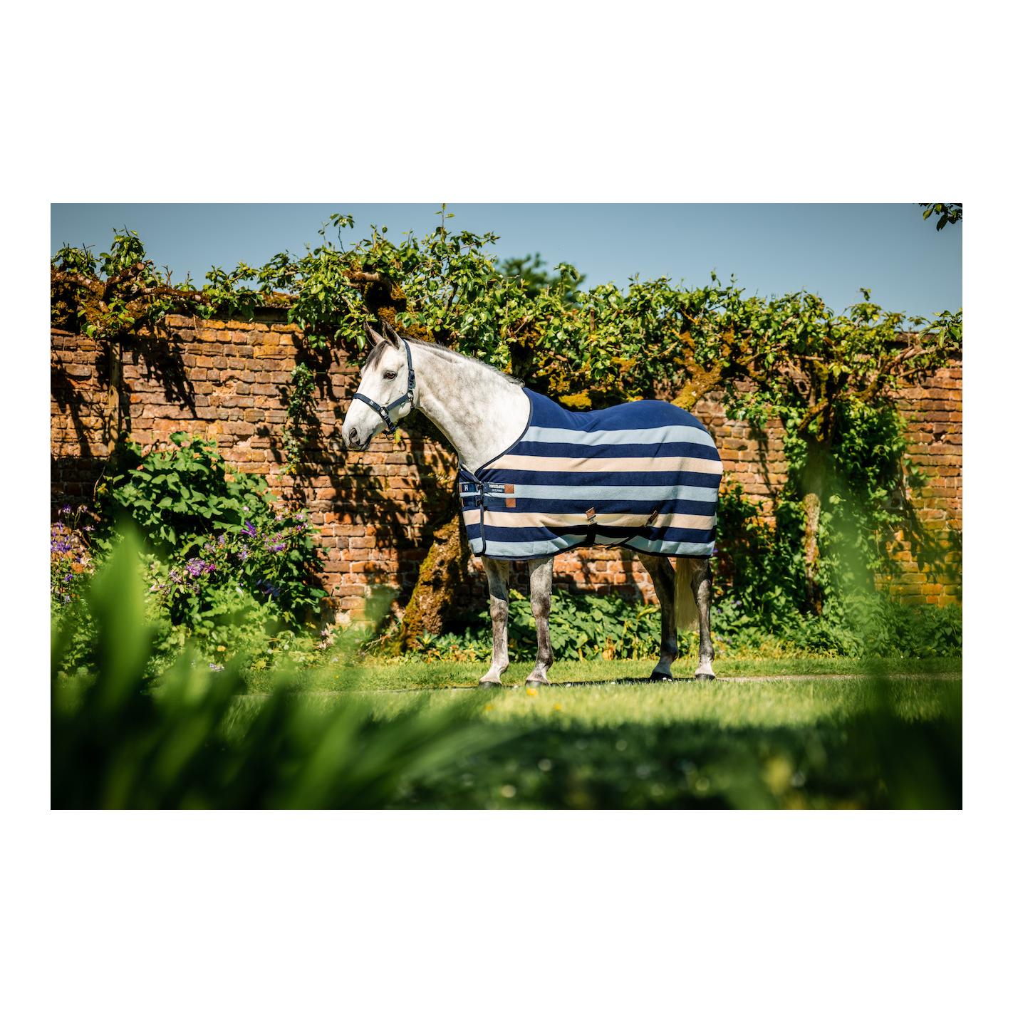 Abschwitzdecke Cooler Newmarket 