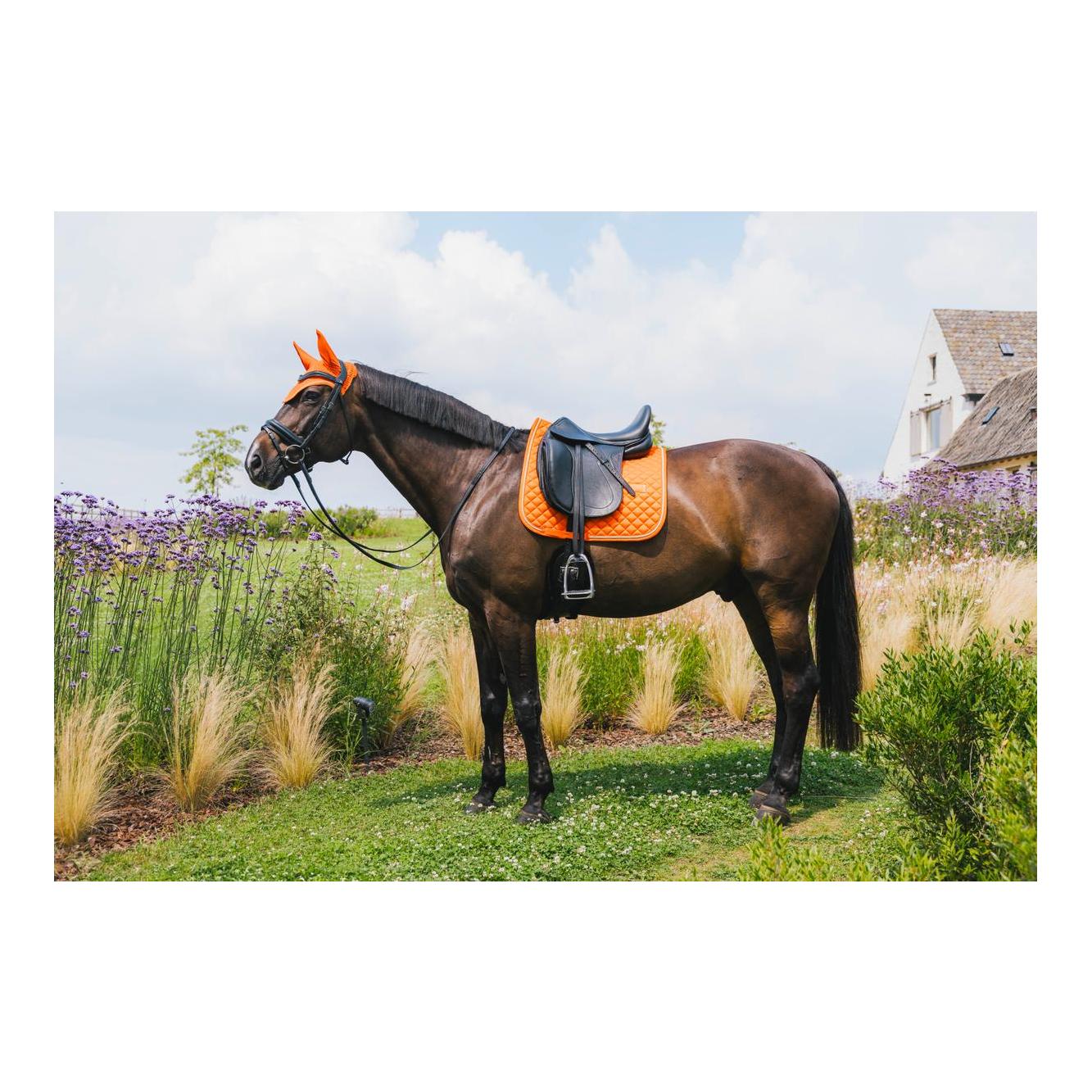 Schabracke diamond rope