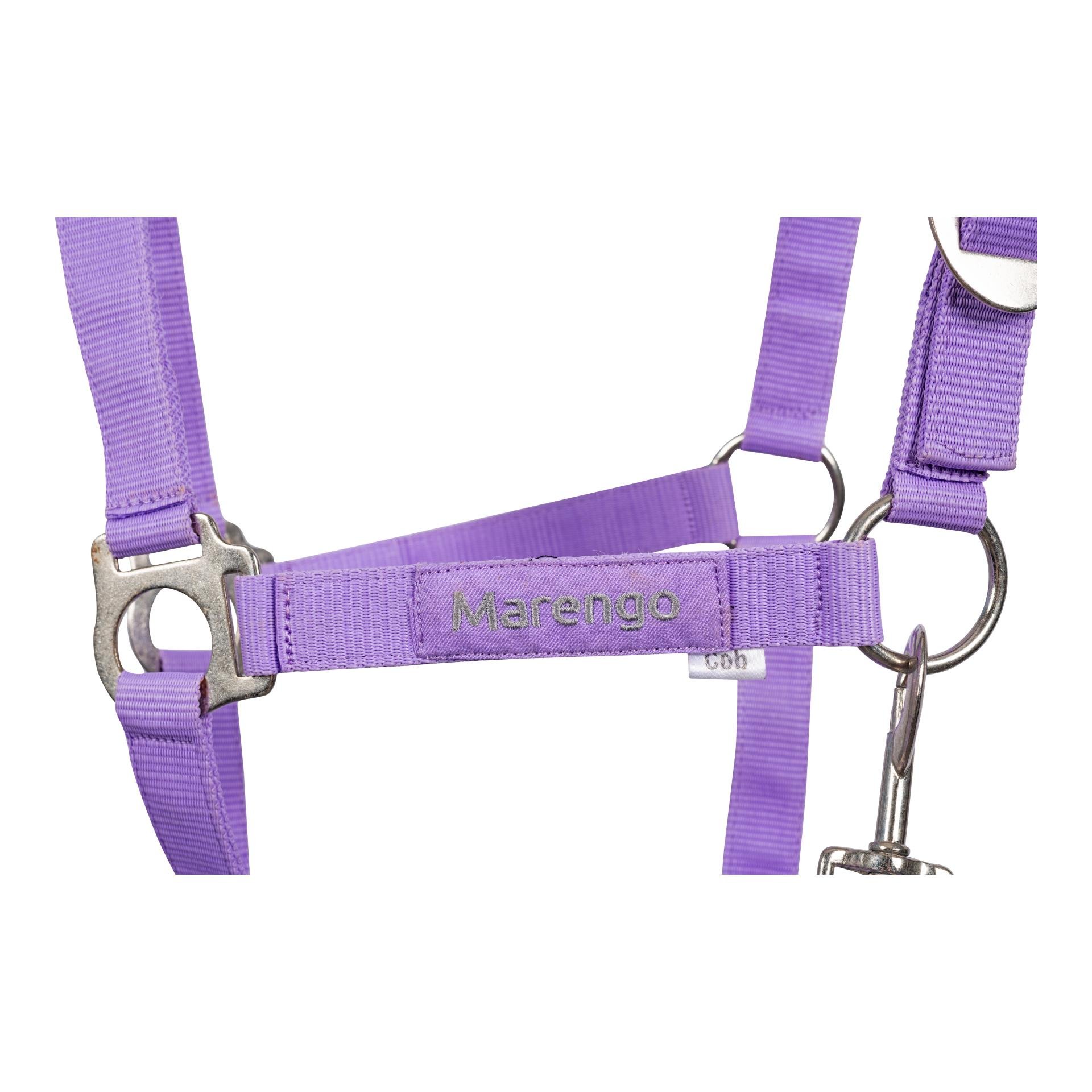 Nylonhalfter Basic Nylonhalfter Basic