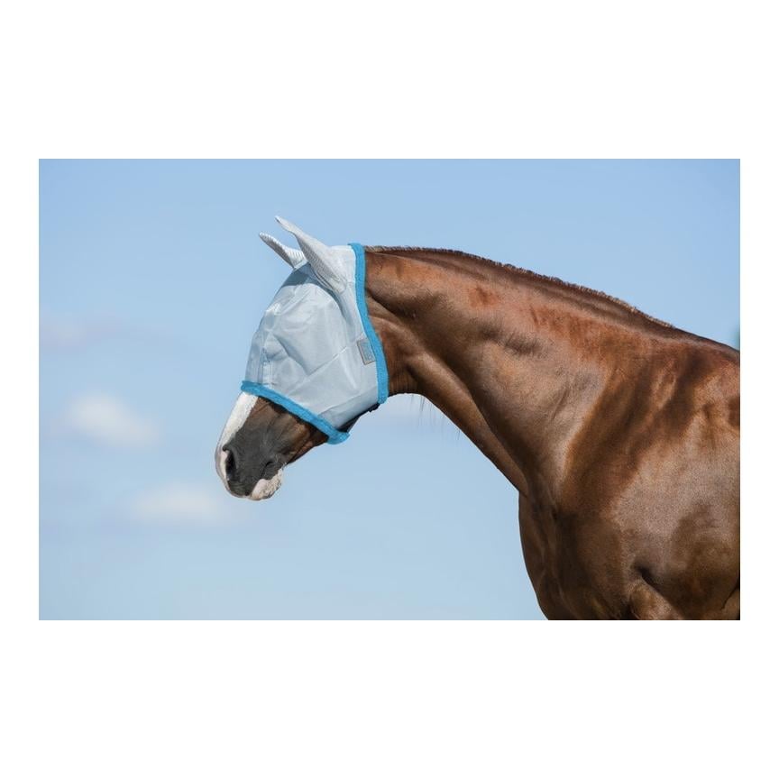 Baby Blue/Electric Blue