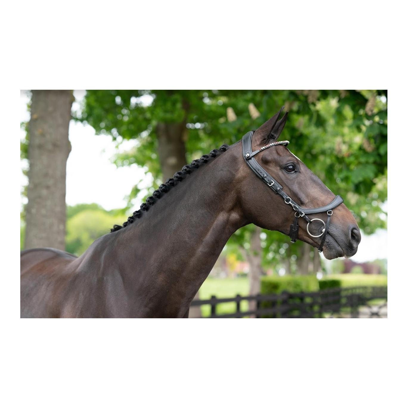 PresTeq Bride FaySport – noir