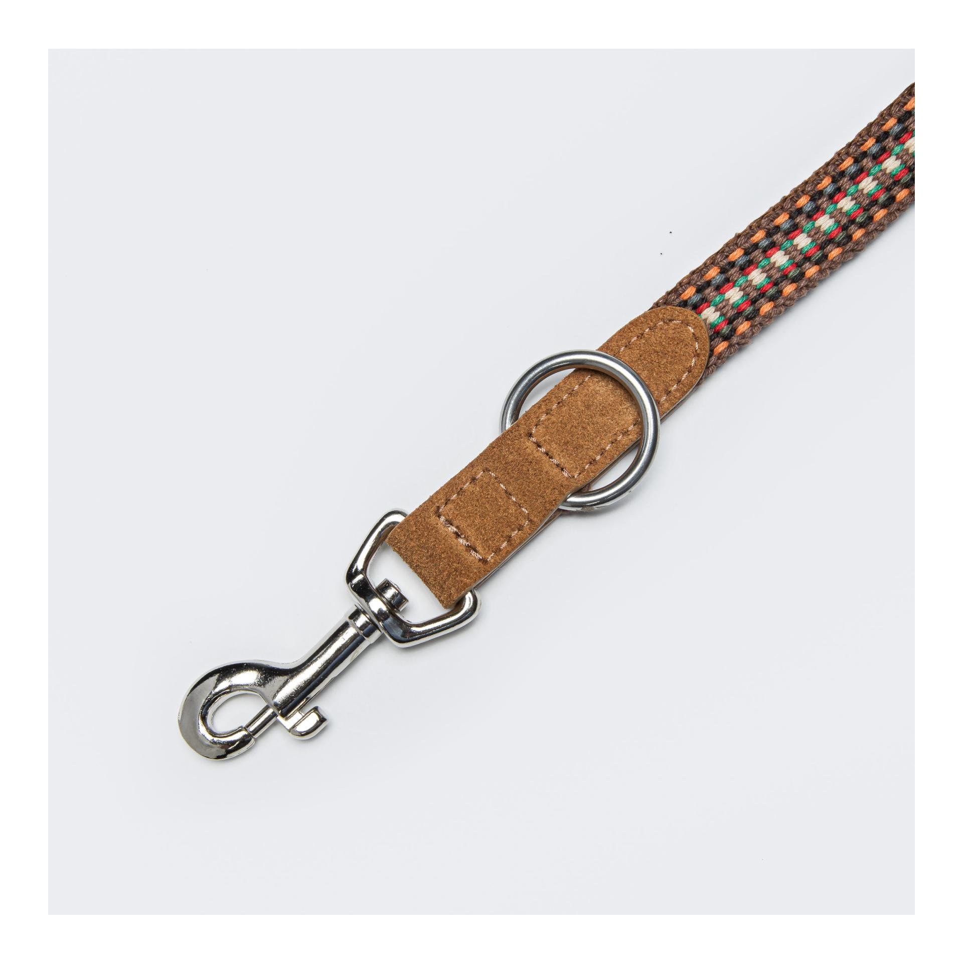 Hundeleine Prater - sunset Hundeleine Prater - sunset
