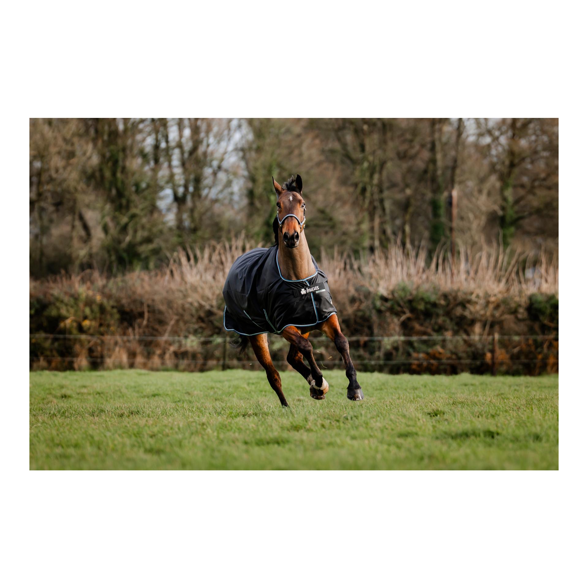 Bucas Couverture de pré Anniversary Turnout Light SD 0g