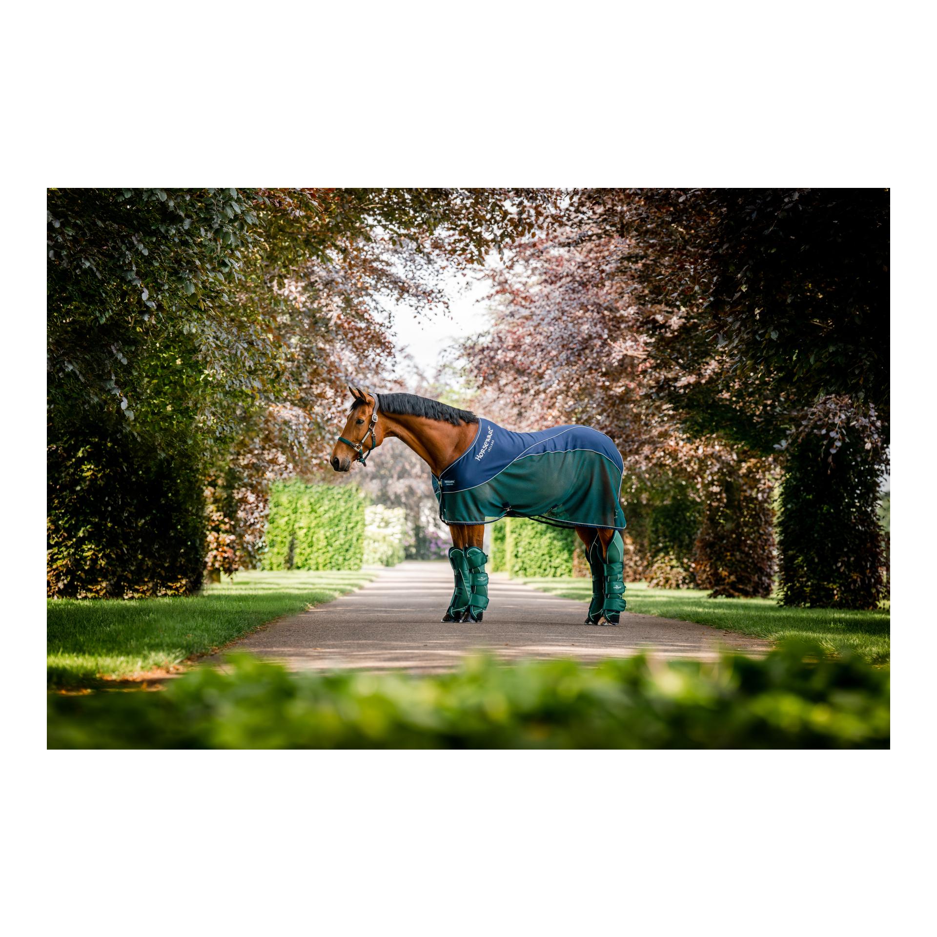 Abschwitzdecke Sport Cooler Signature