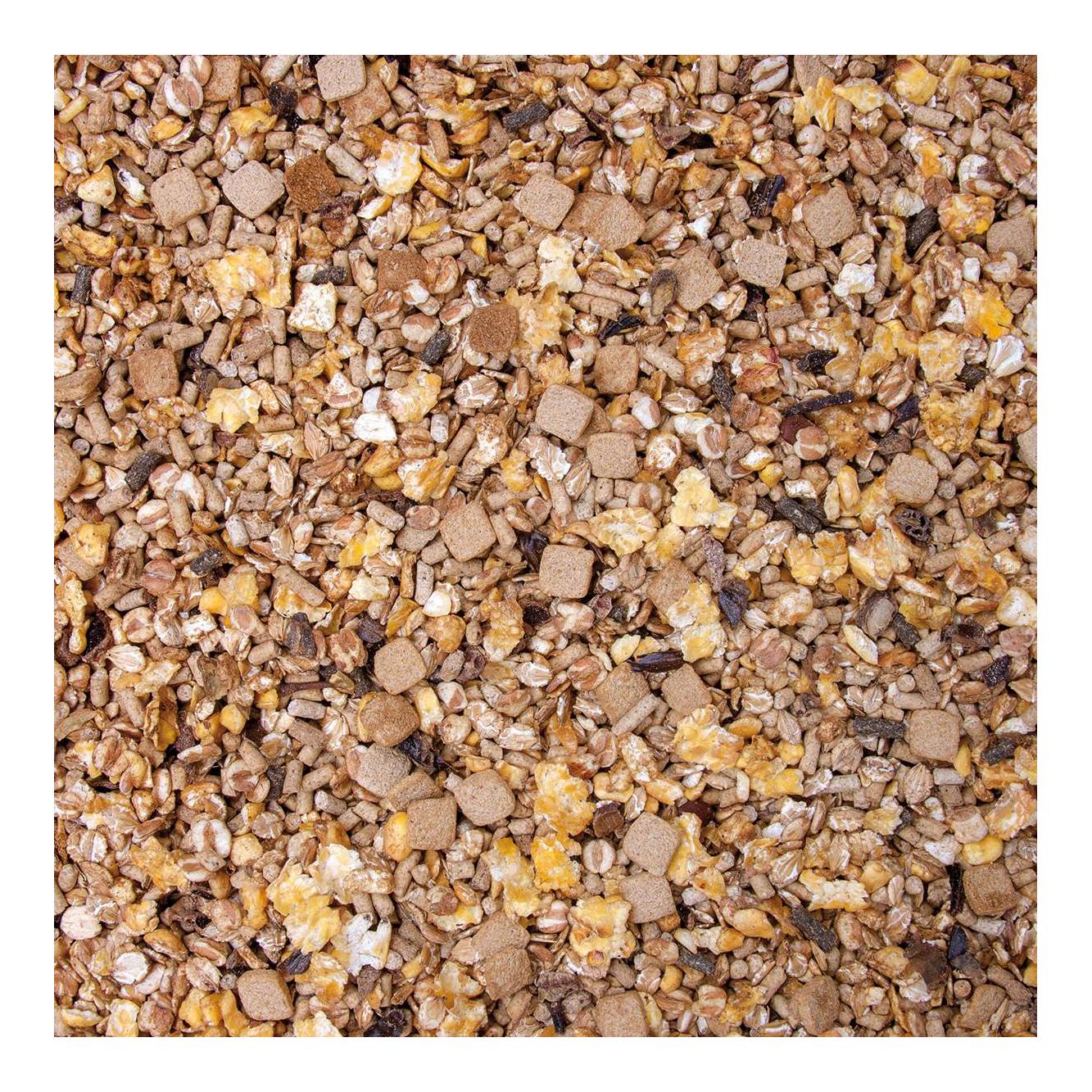 Muesli pour poulains