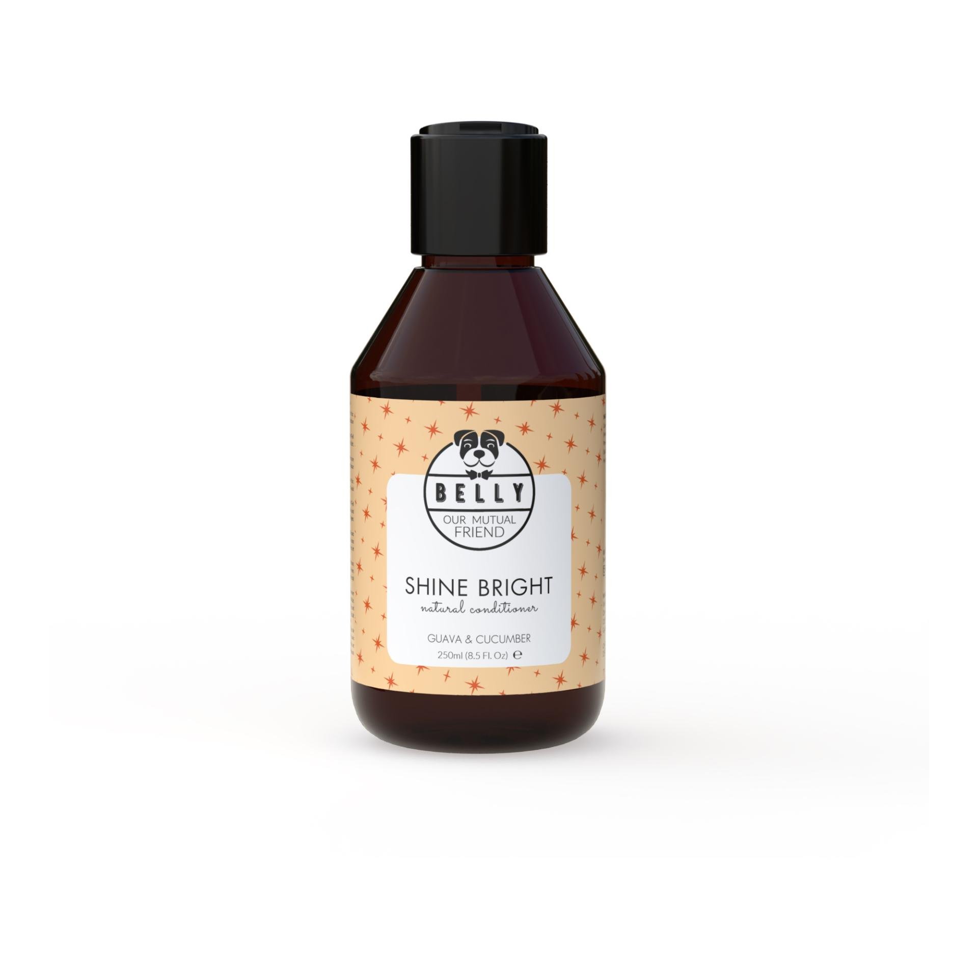 Shine Bright Conditioner Shine Bright Conditioner