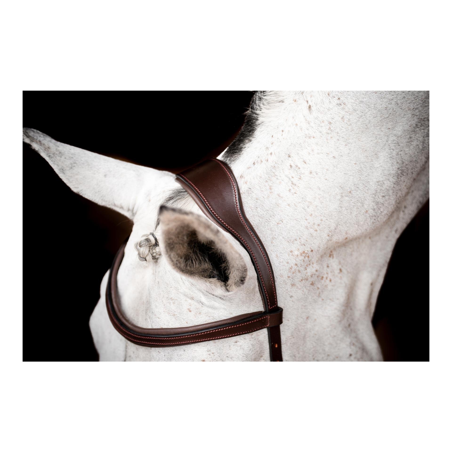 Zaum Micklem3 Competiton ohne Zügel