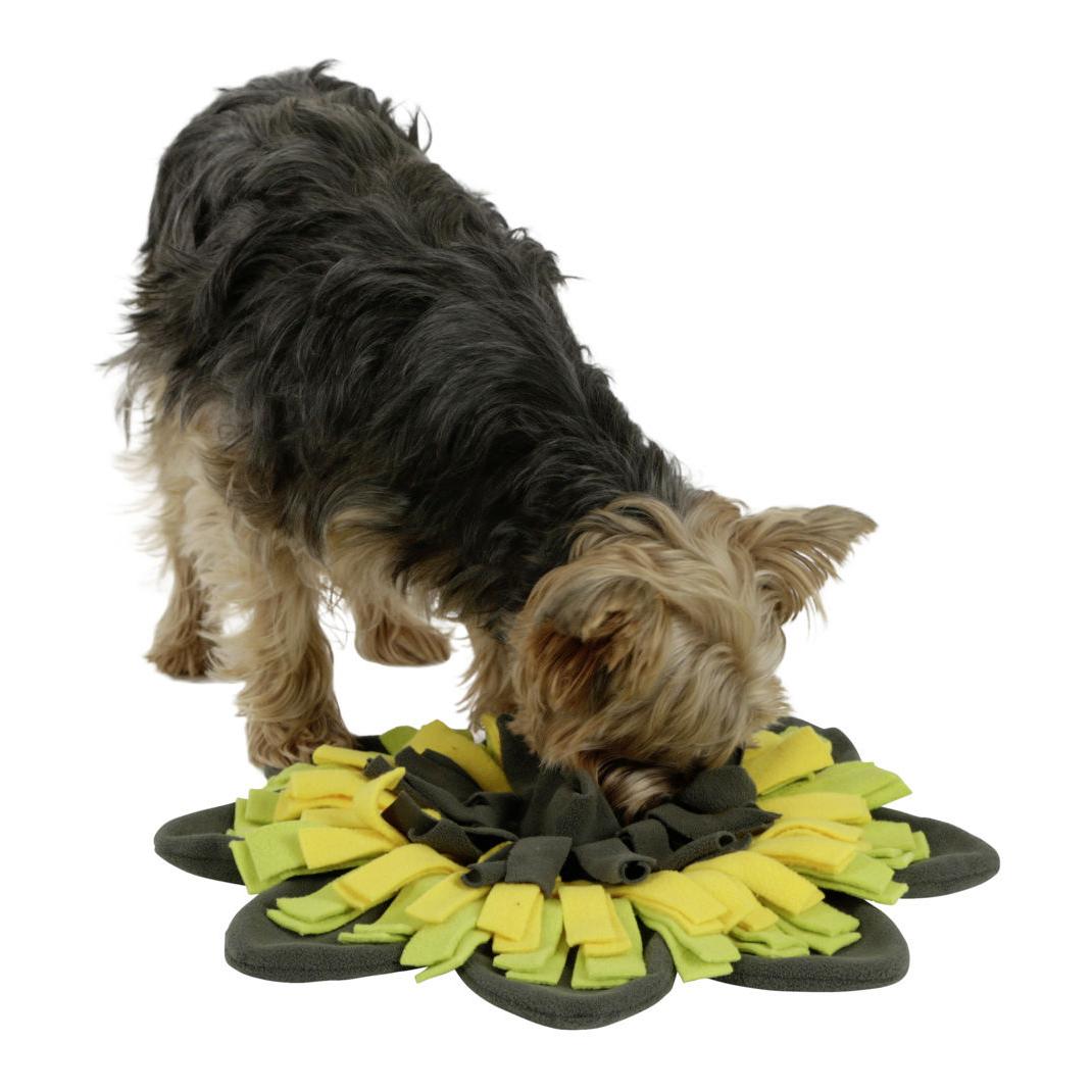 Kerbl Pet Schnüffelteppich Sunflower - gelb/grün