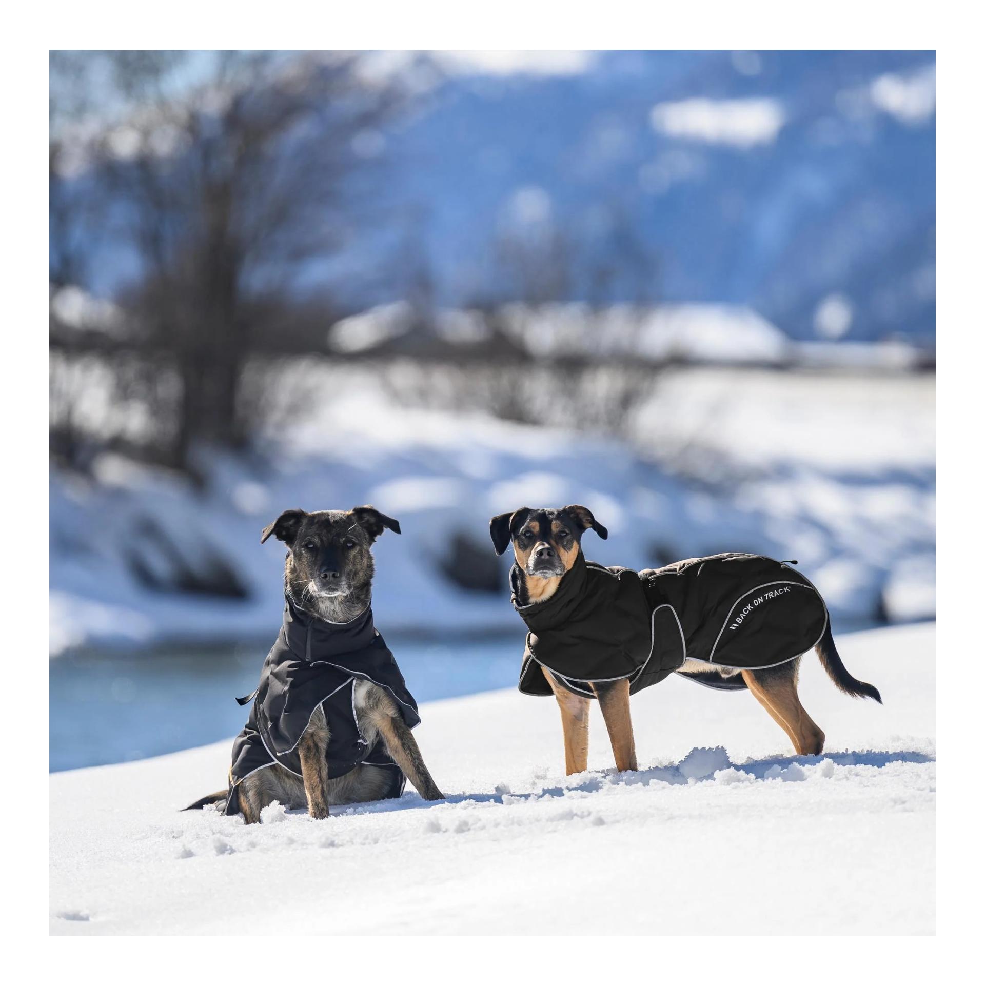 BAY manteau d'hiver pour chiens, 120 g, queue haute