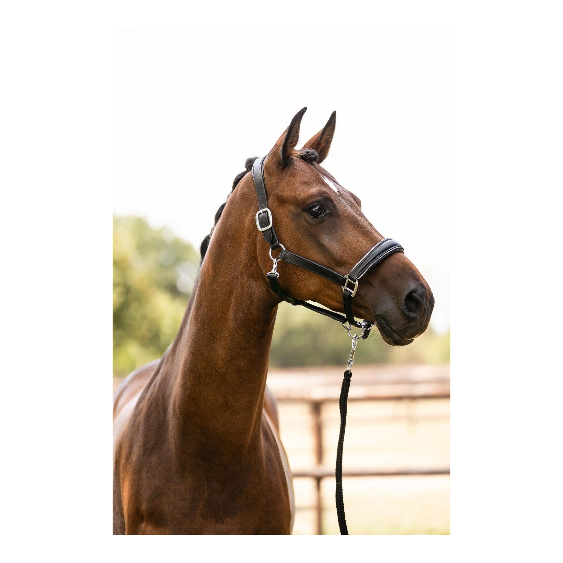 HKM Lederhalfter Glamour