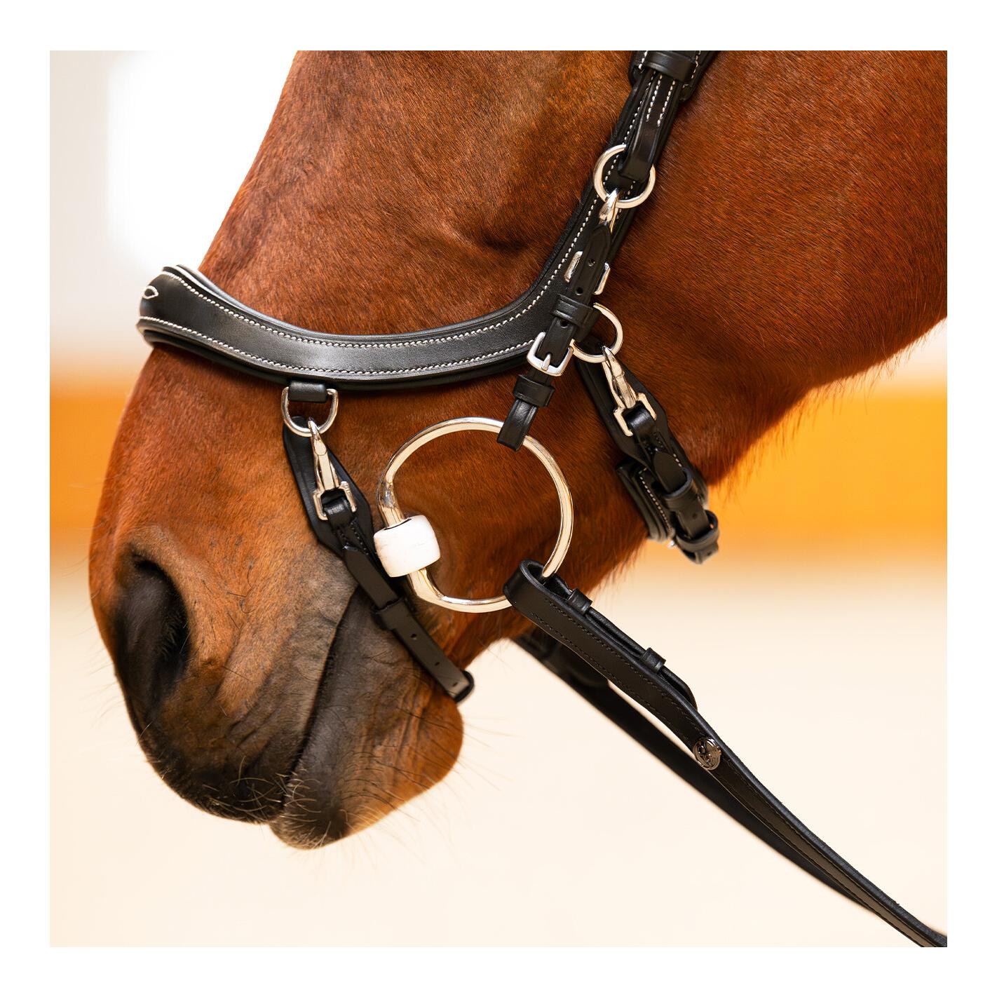 PresTeq Zaumzeug FaySport Classic 
