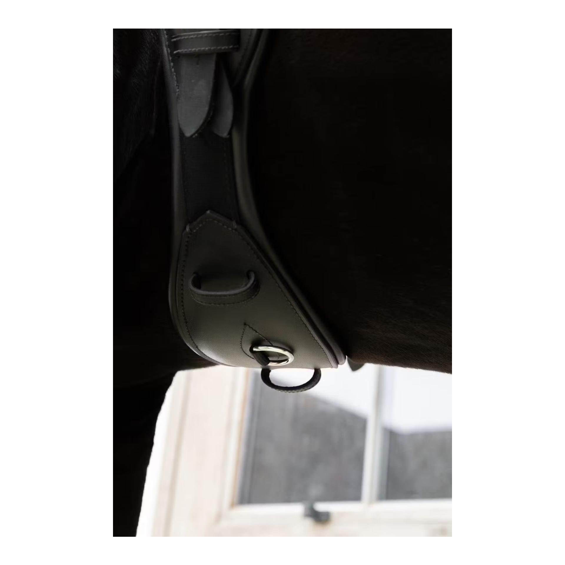 Kentucky Anatomische Kurzgurt