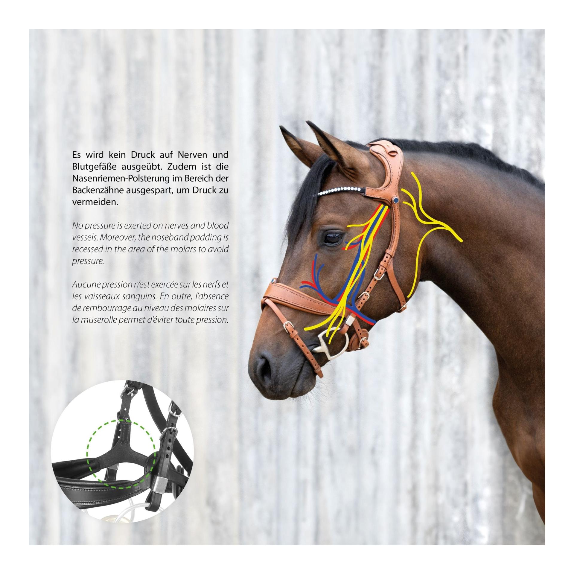 Zaum Freedom II Magic Tack mit Slide&Lock Zaum Freedom II Magic Tack mit Slide&Lock
