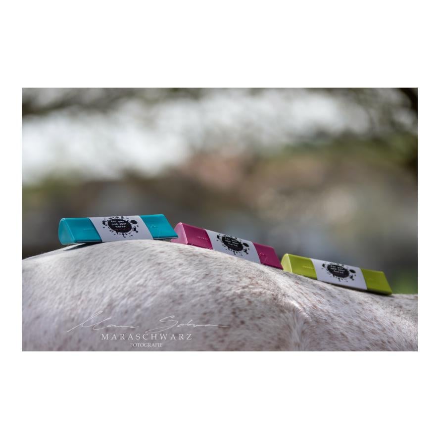 Aide au changement de pelage Fellschön