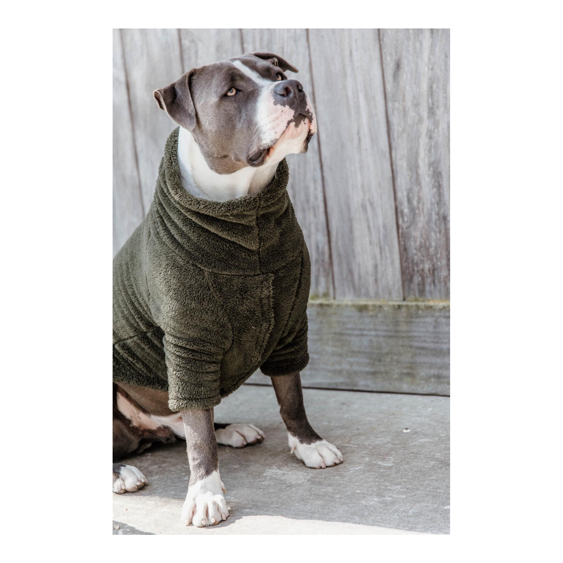 Hundepullover Teddy Fleece - Pine Green Hundepullover Teddy Fleece - Pine Green