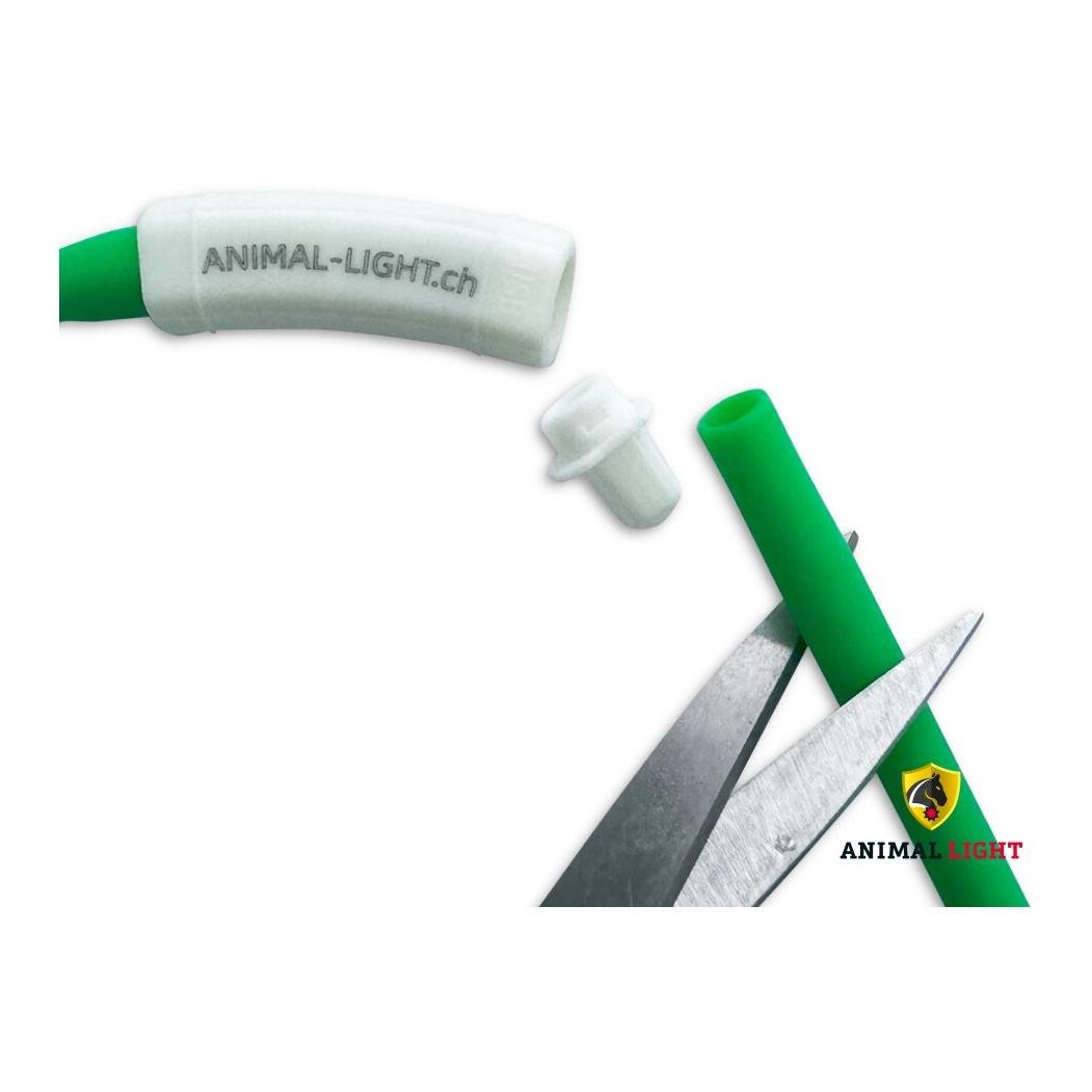 Leucht-Hundehalsband Flex Leucht-Hundehalsband Flex