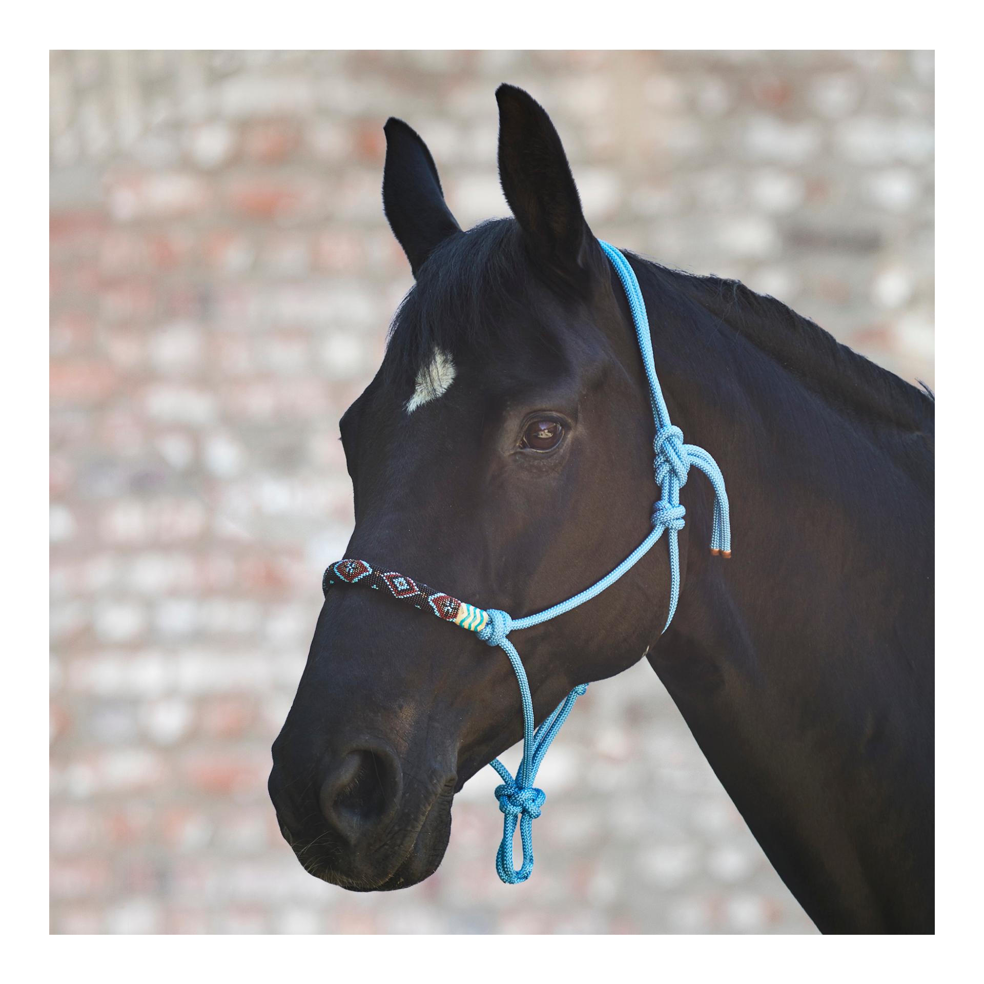 Knotenhalfter Pearls - azurblau Knotenhalfter Pearls - azurblau