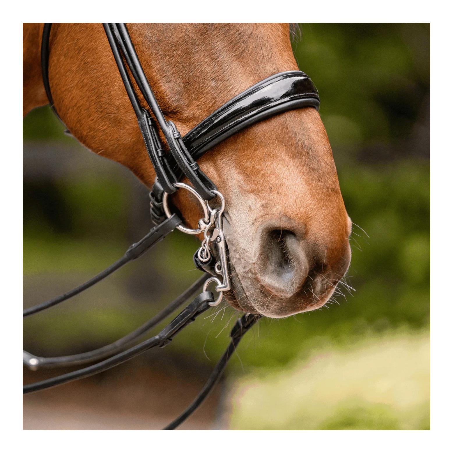 Sprenger HO-Reitkandare 14 mm, kurze Anzüge