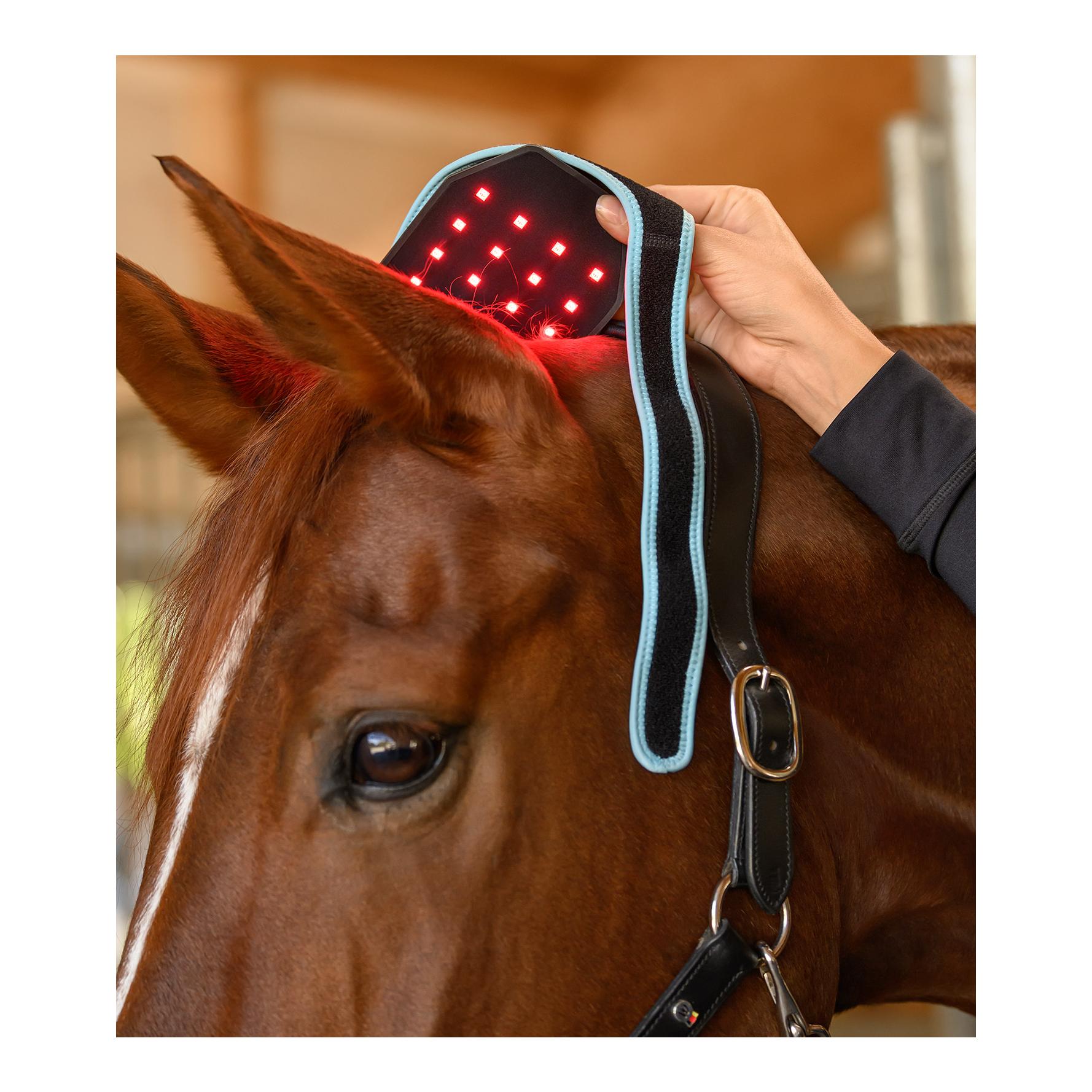 Health + Care Waldhausen Health + Care Infrared FlexPad