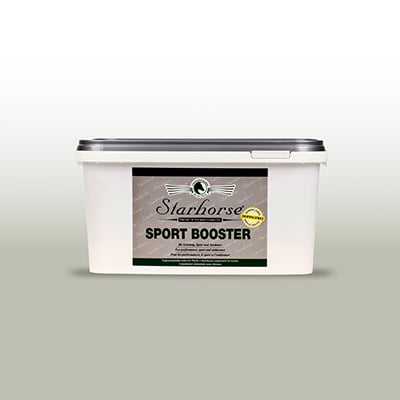 RS-KAT-Energie_Leistung