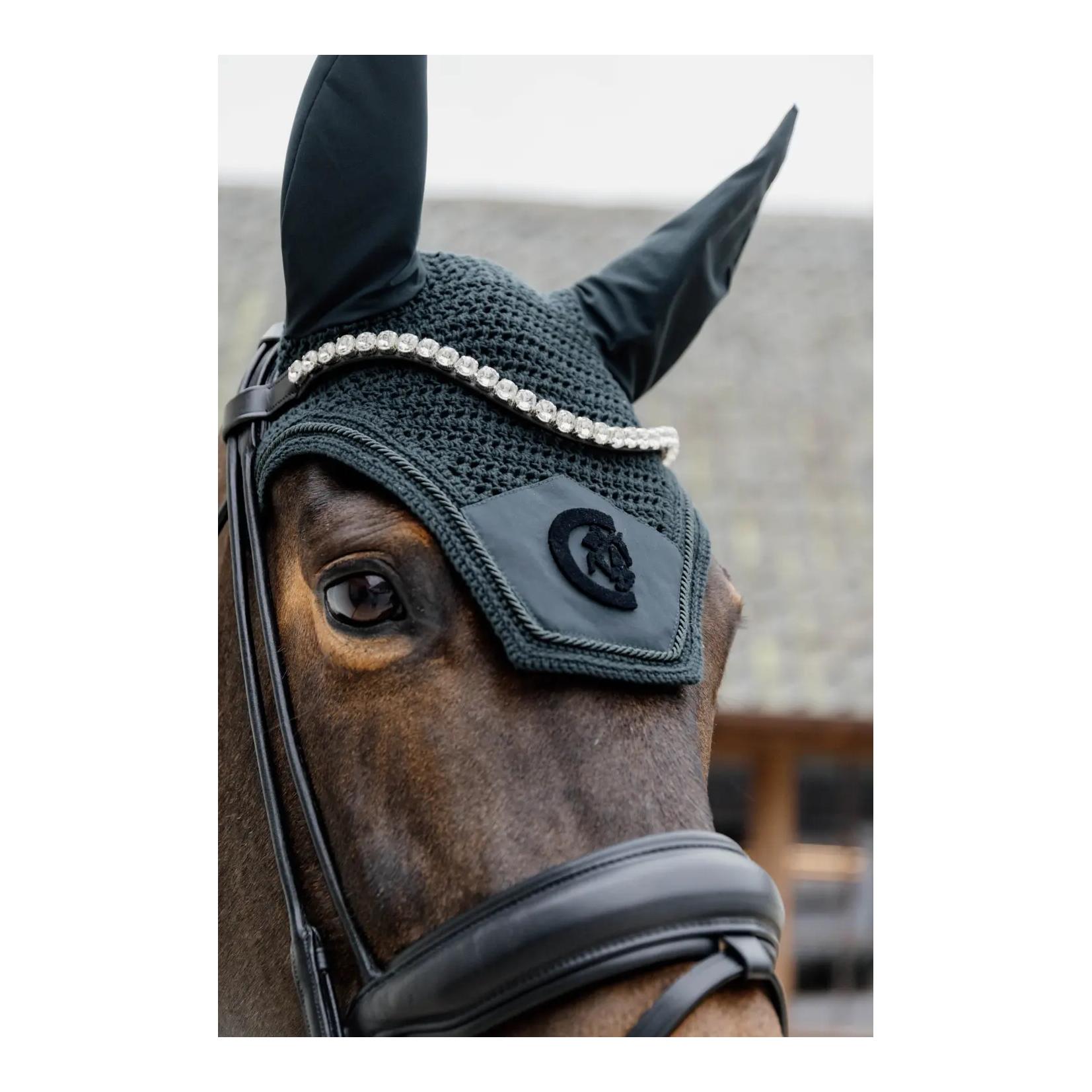 Ohrengarn Wellington 3D Logo