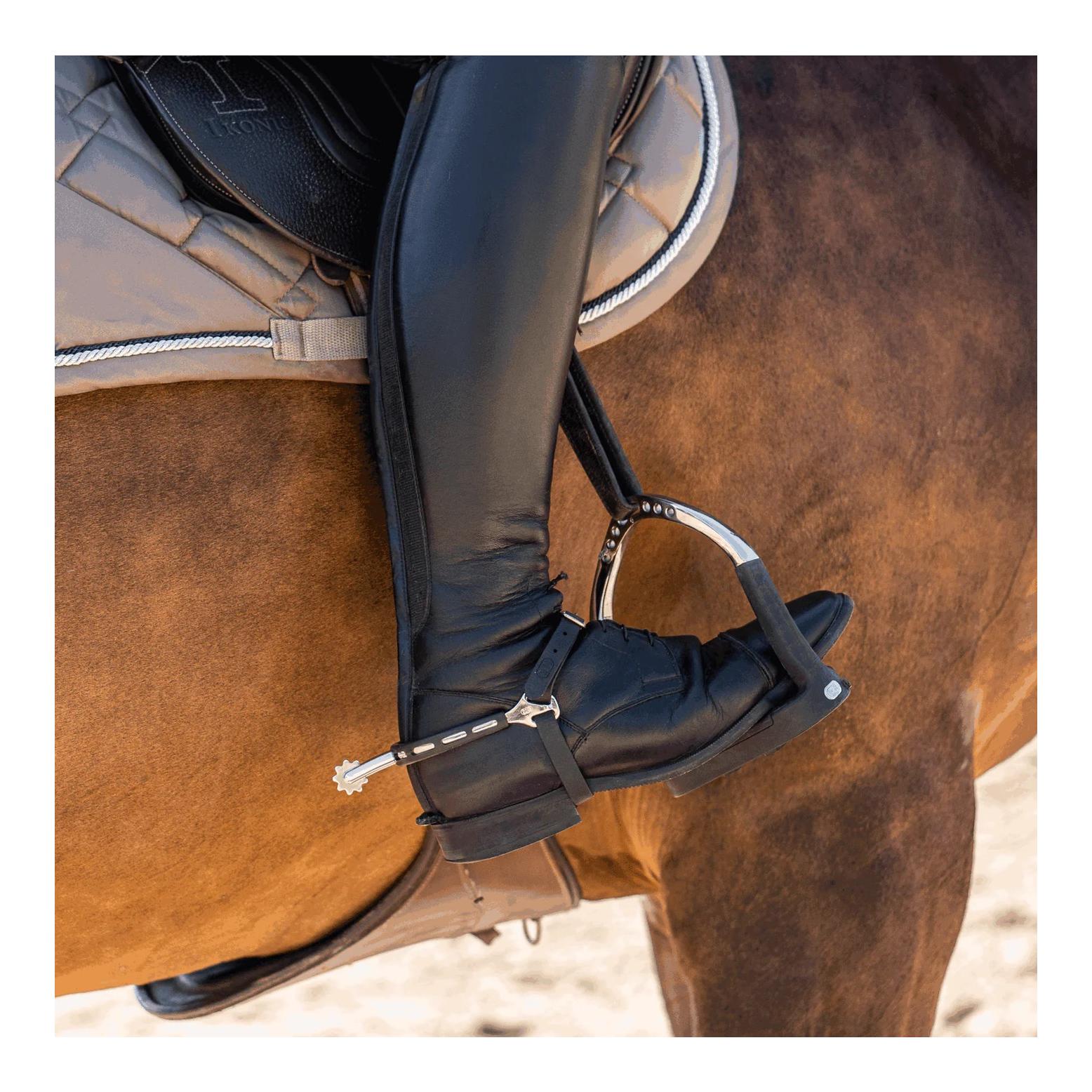 Sprenger Sporen ULTRA fit Extra Grip - Edelstahl rostfrei, 40 mm abgerundet mit Sonnenrad