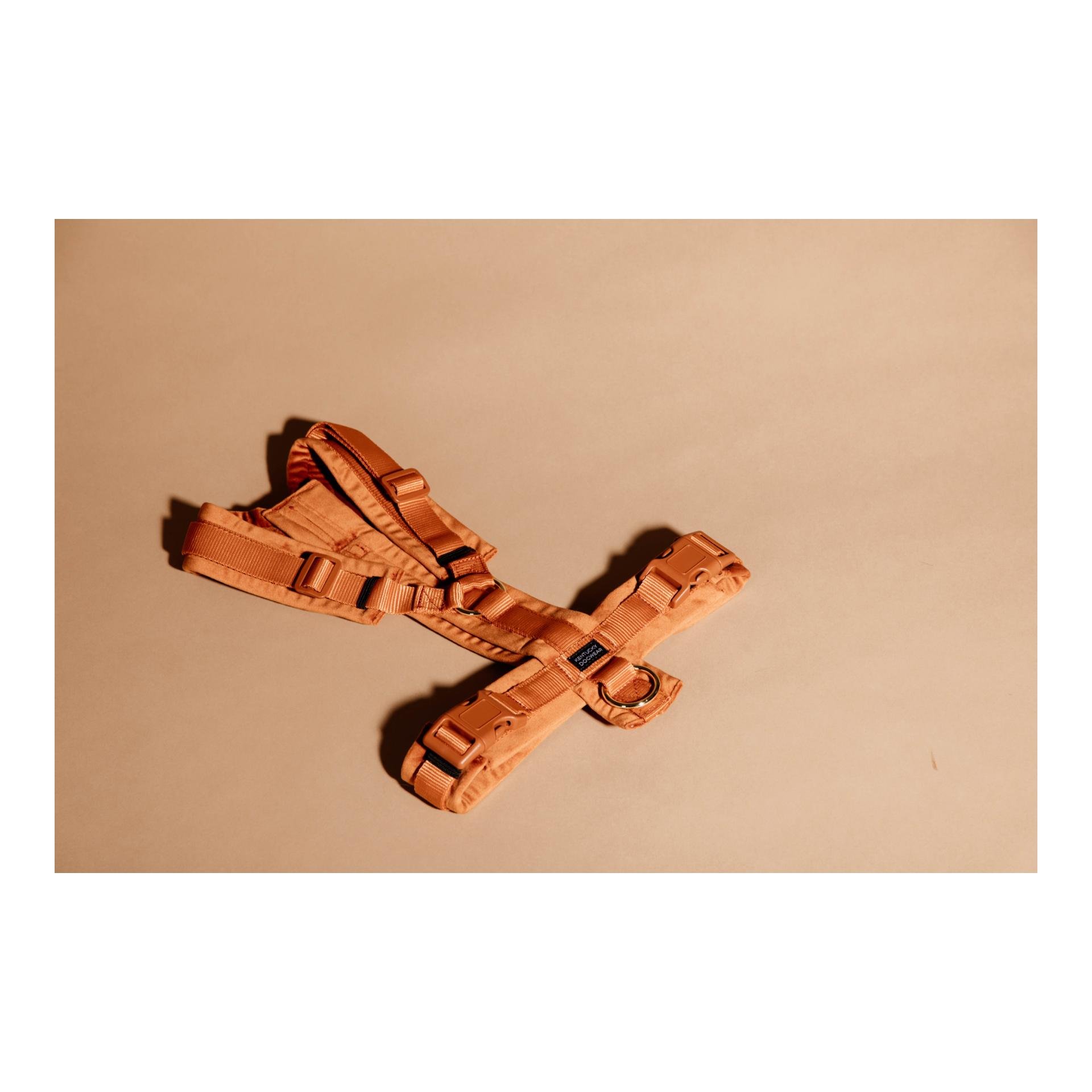 Harnais pour chien Active Velvet