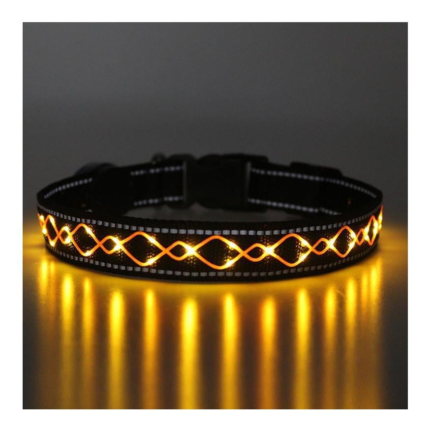 Collier lumineux pour chien "Beauty"