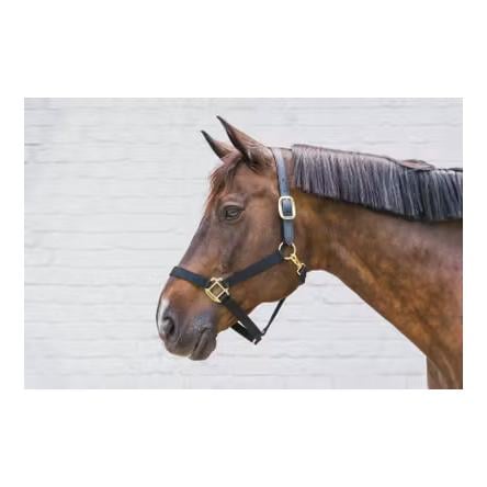 Nylon Halfter Breakaway Nylon Halfter Breakaway