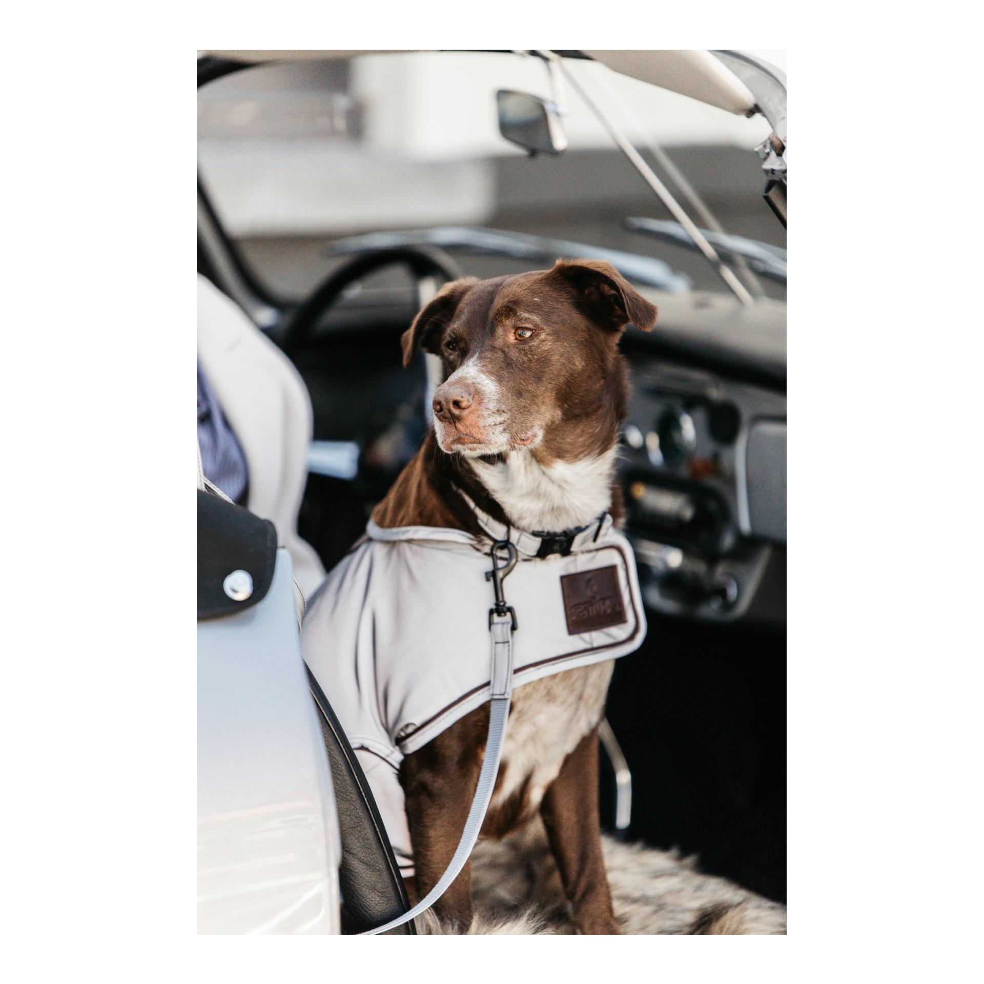 Hundemantel reflektierend & wasserabweisend Hundemantel reflektierend & wasserabweisend