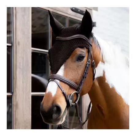 Kentucky Fliegenhaube lang