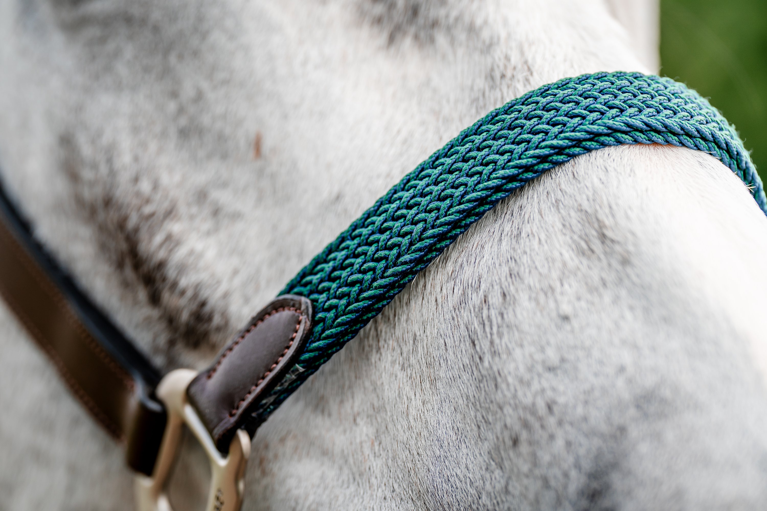 Halfter Signature Braided Halfter Signature Braided