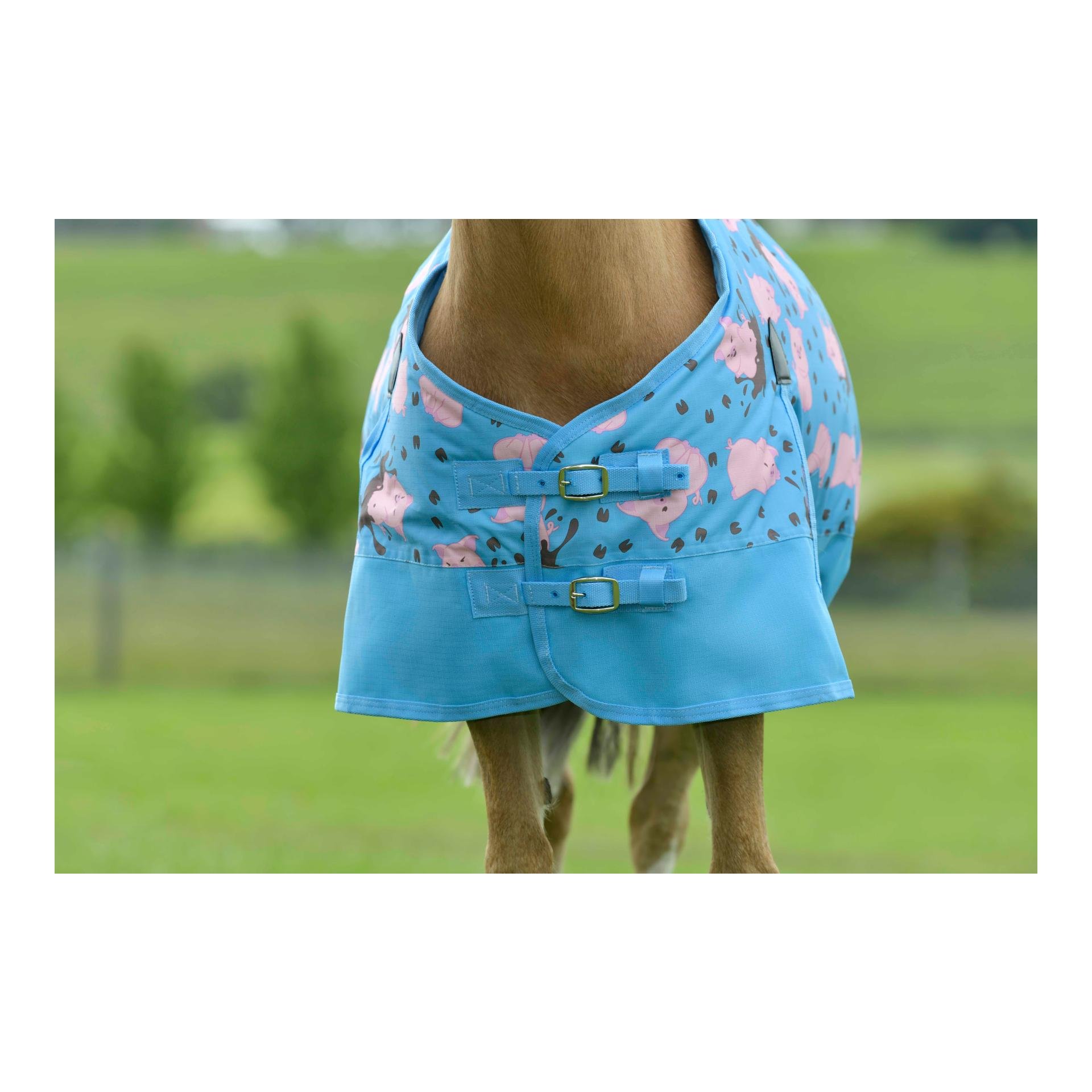 Weidedecke Pony 180g Weidedecke Pony 180g