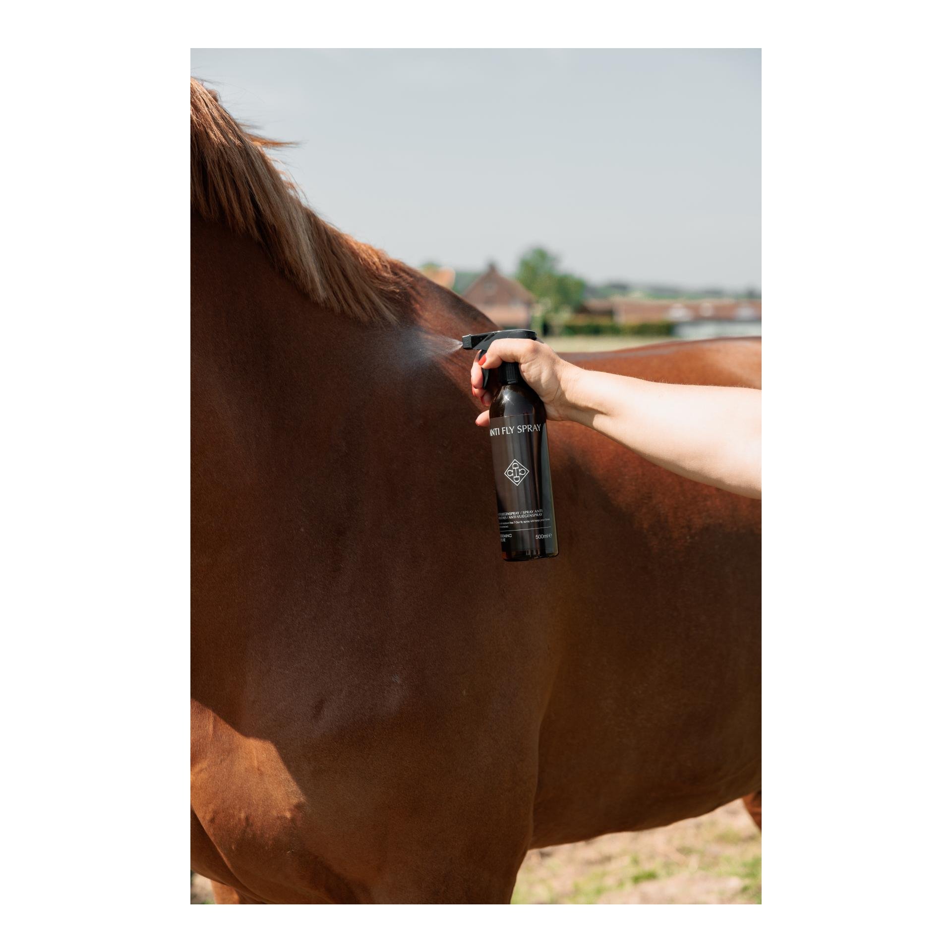 Grooming Deluxe Anti-Fliegen-Spray