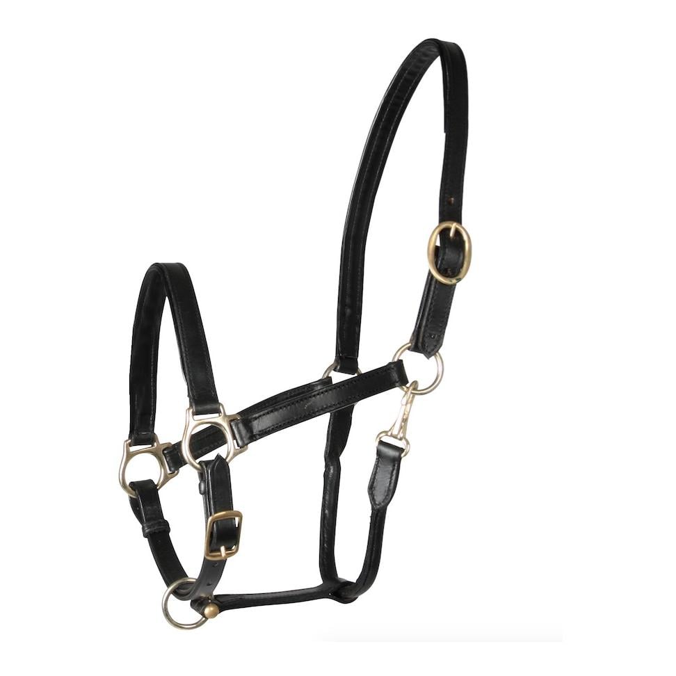 Star Lederhalfter «Robust» - schwarz Taille brides: Demi-sang