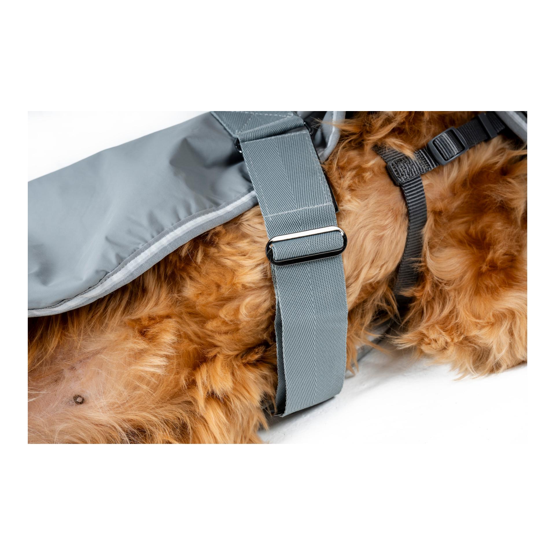 Hundedecke Newmarket