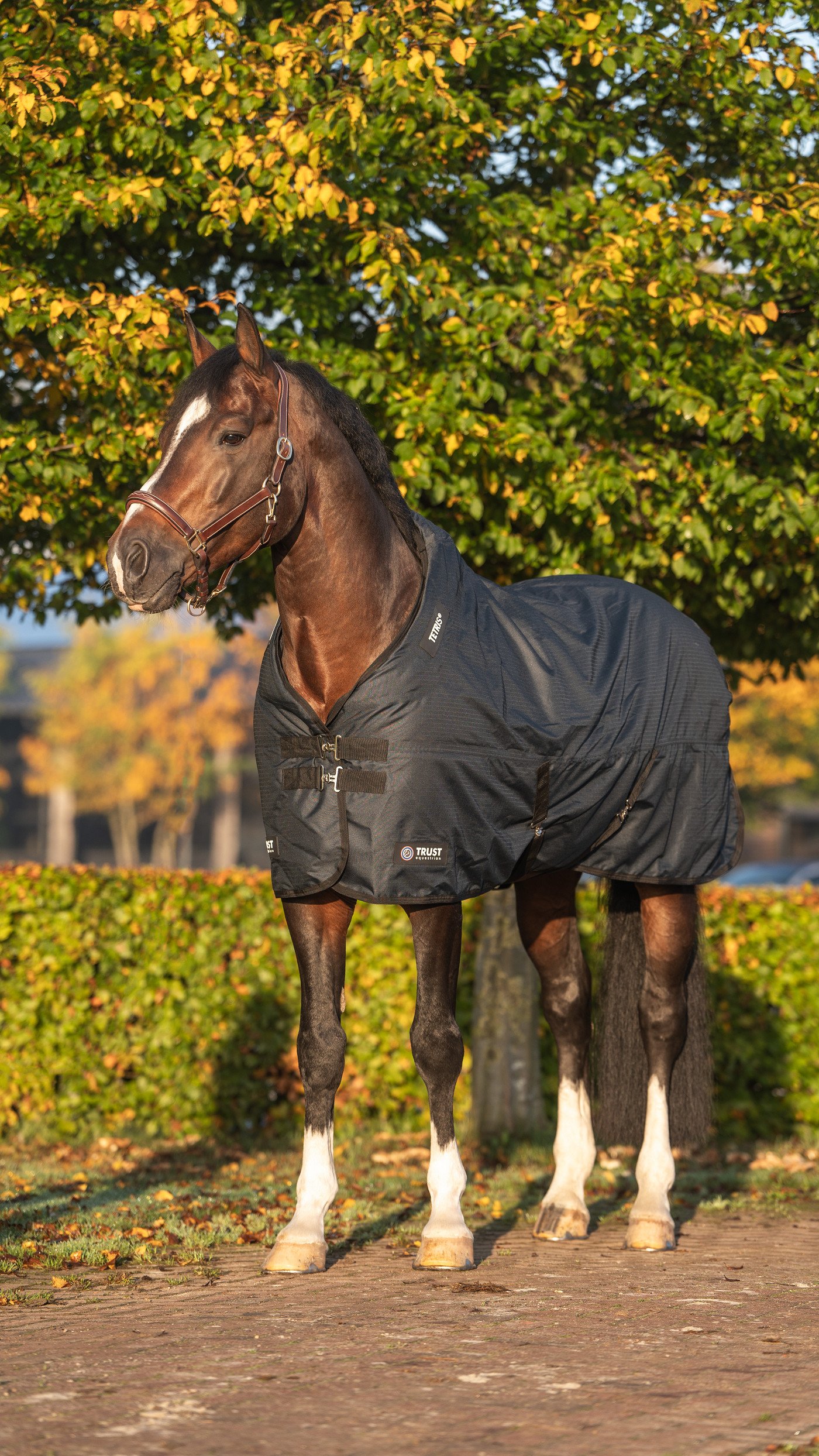 Outdoordecke Tetris 300g